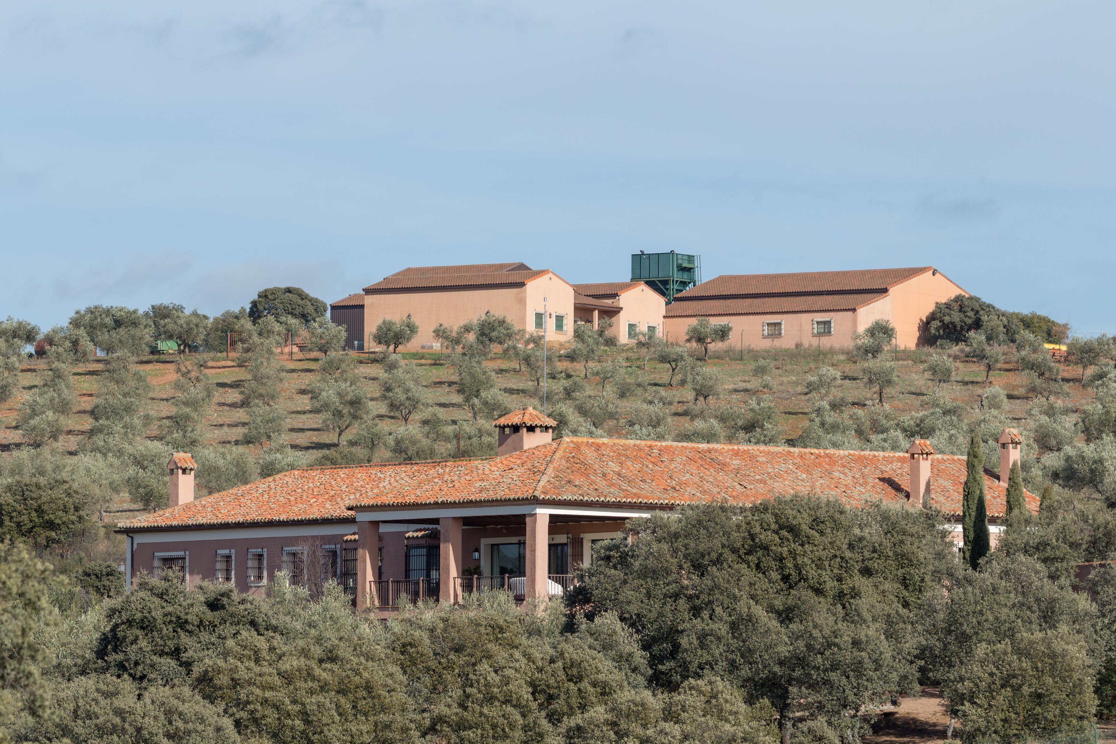 Finca Cinegética en venta en Ciudad Real