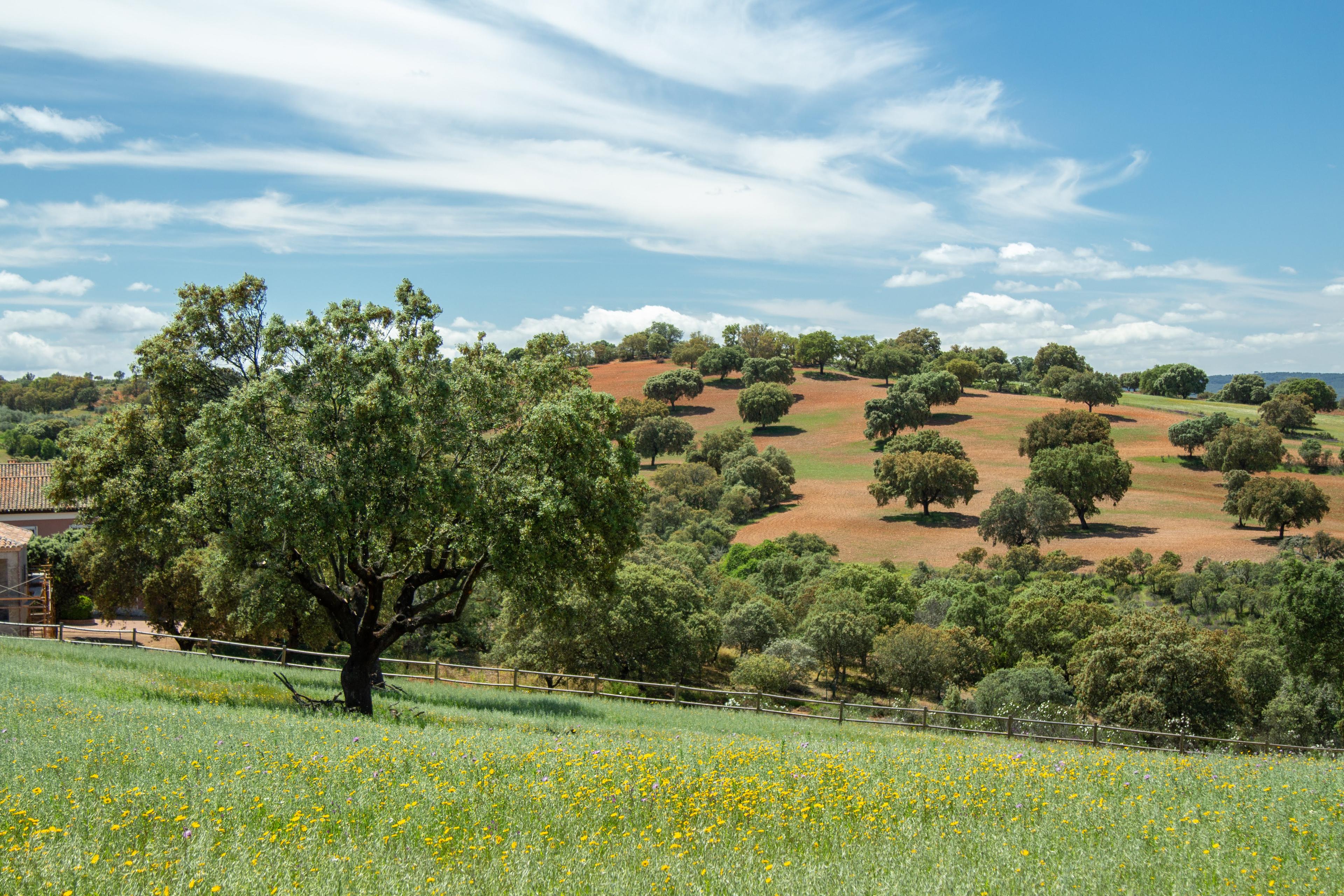 Finca Cinegética en venta en Ciudad Real