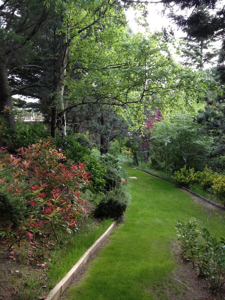 Espectacular casa con jardin en Segovia