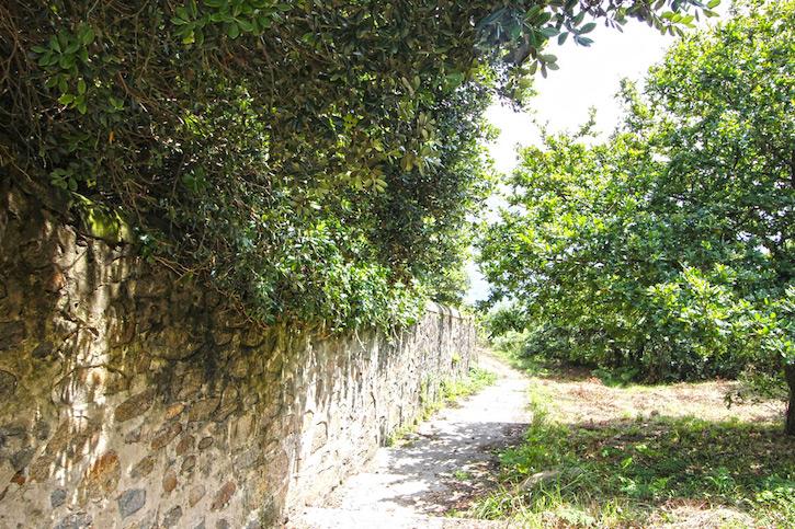 Castillo en venta en La Coruña