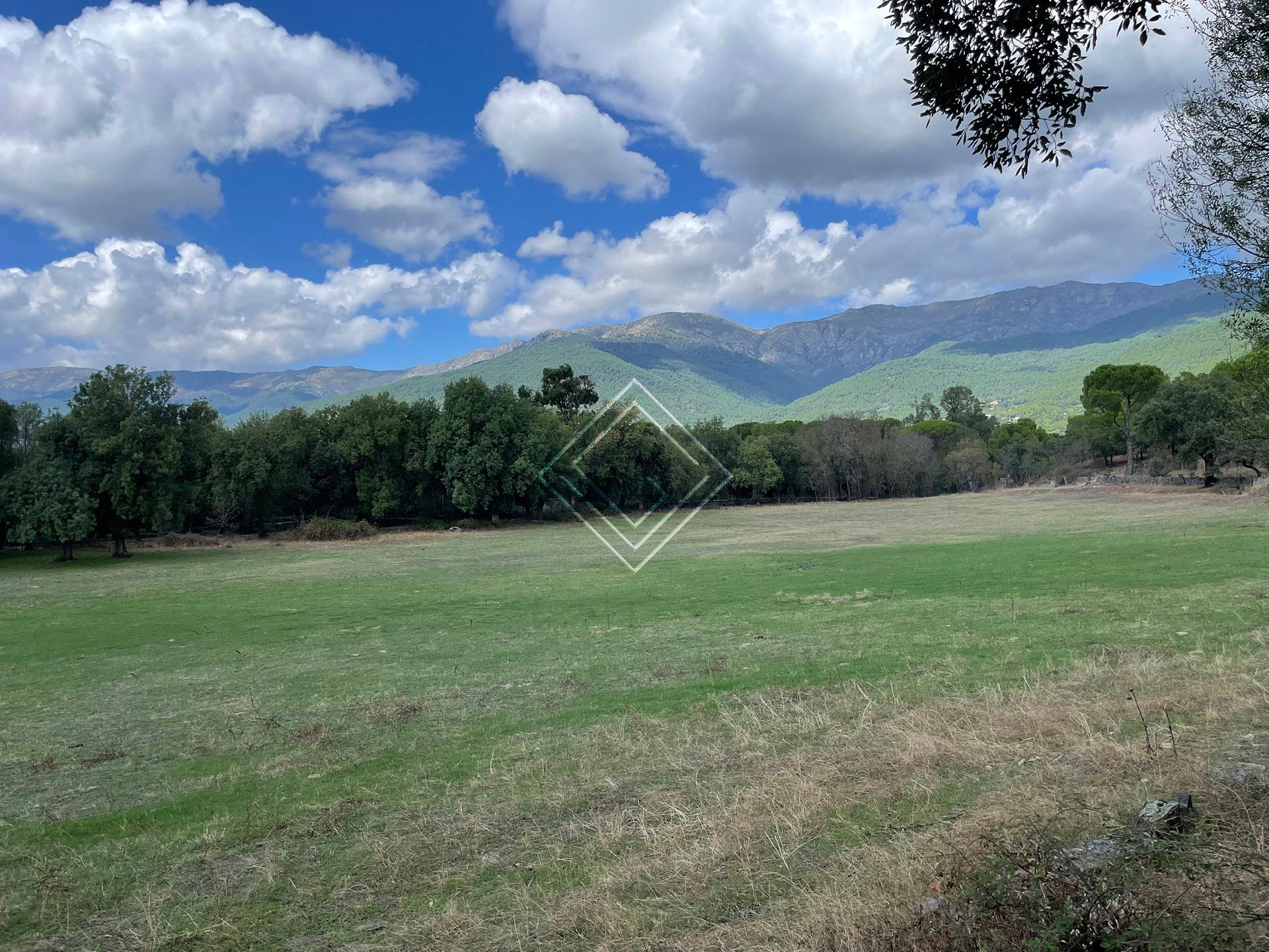 Preciosa finca en venta en el Valle del Tiétar