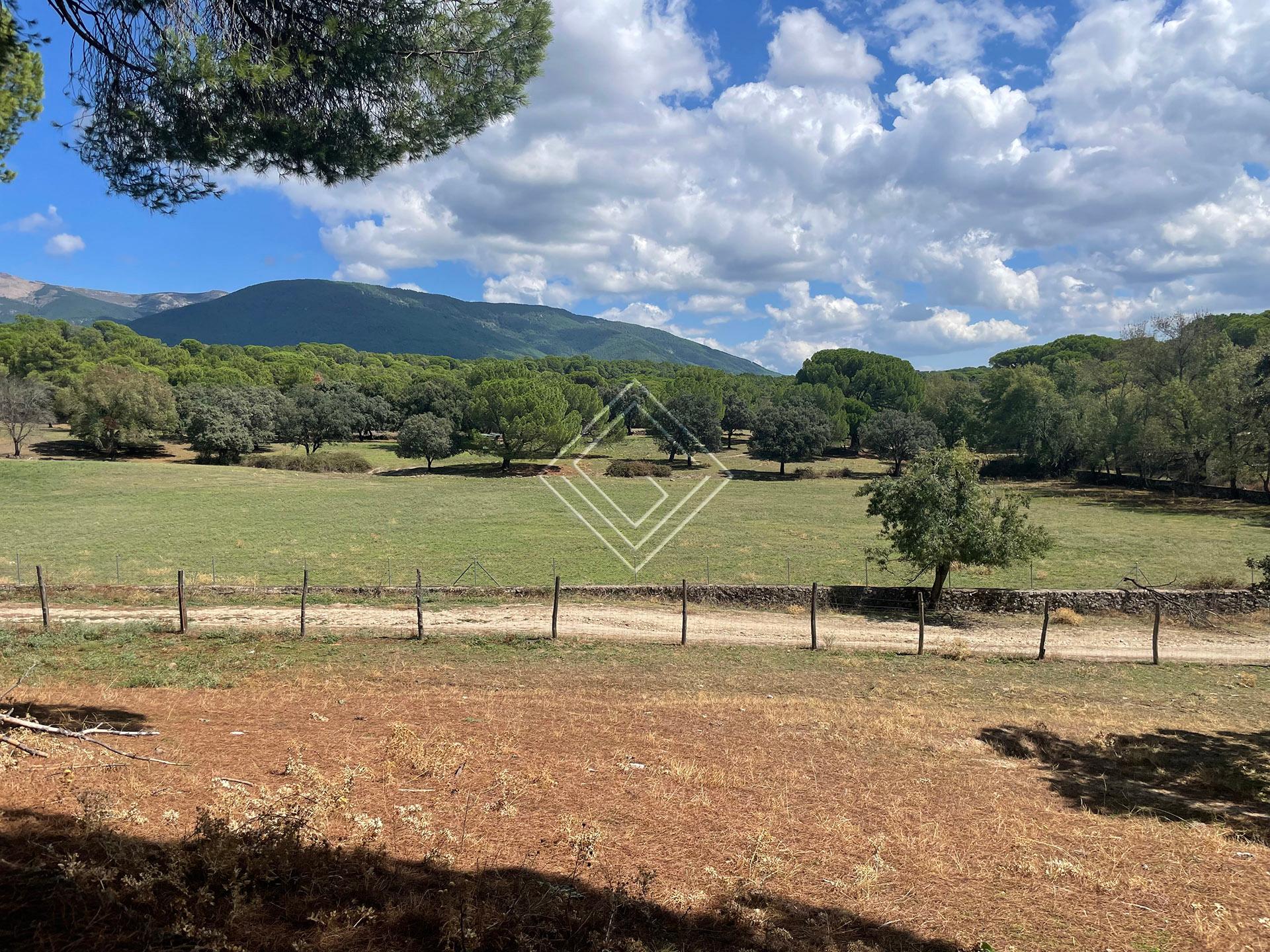 Preciosa finca en venta en el Valle del Tiétar