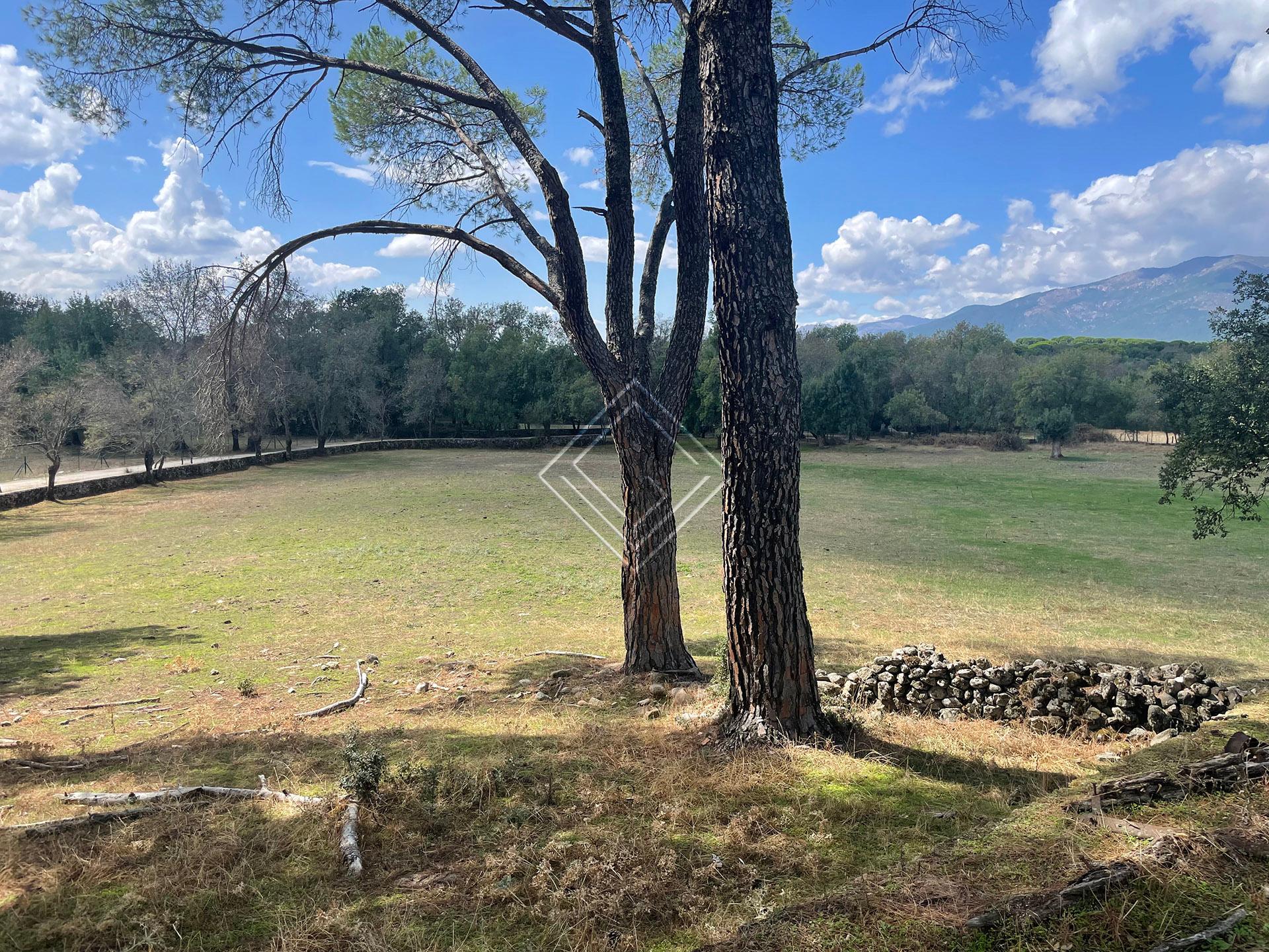 Preciosa finca en venta en el Valle del Tiétar