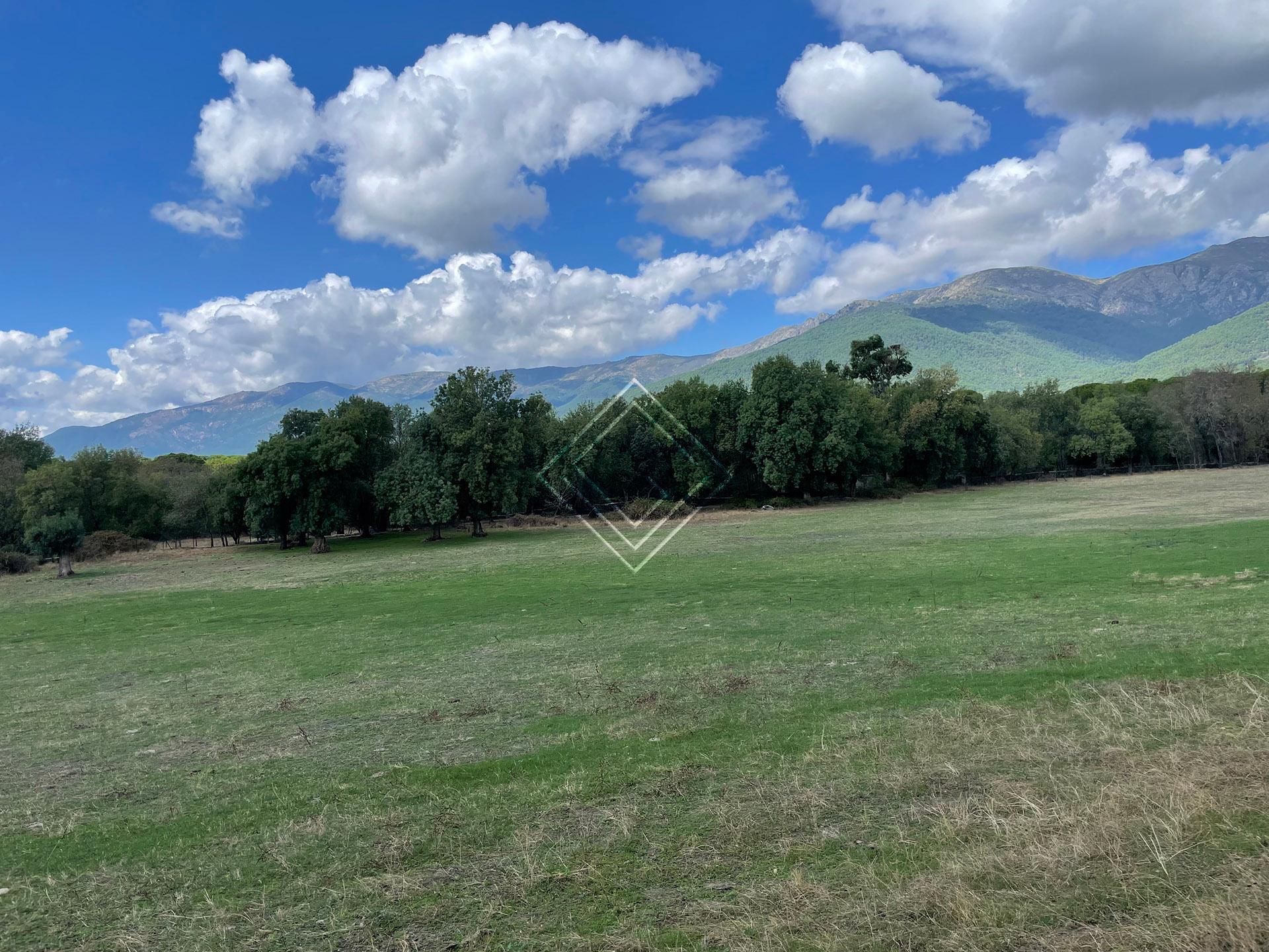 Preciosa finca en venta en el Valle del Tiétar