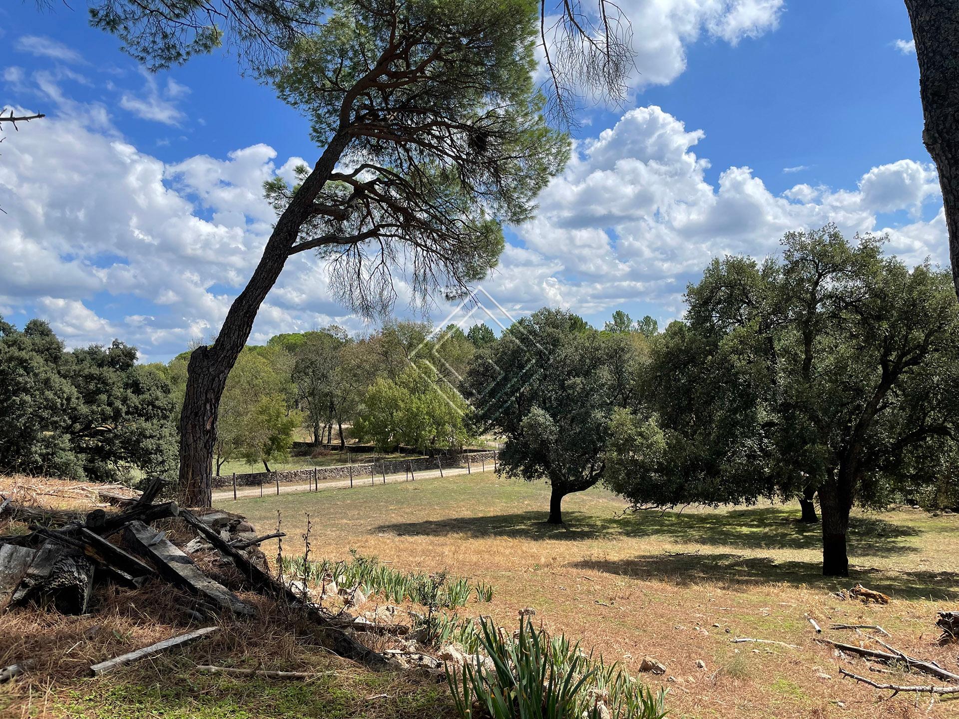 Preciosa finca en venta en el Valle del Tiétar