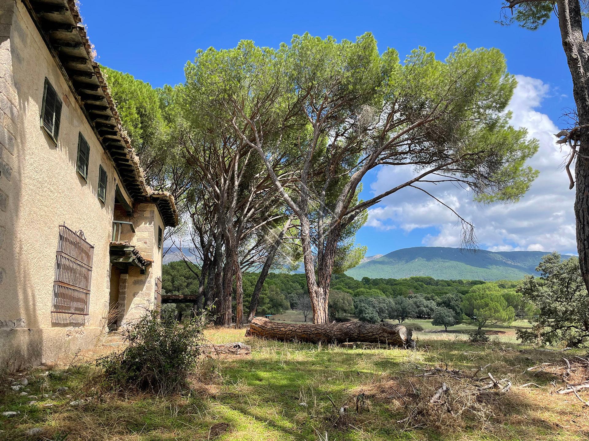 Preciosa finca en venta en el Valle del Tiétar