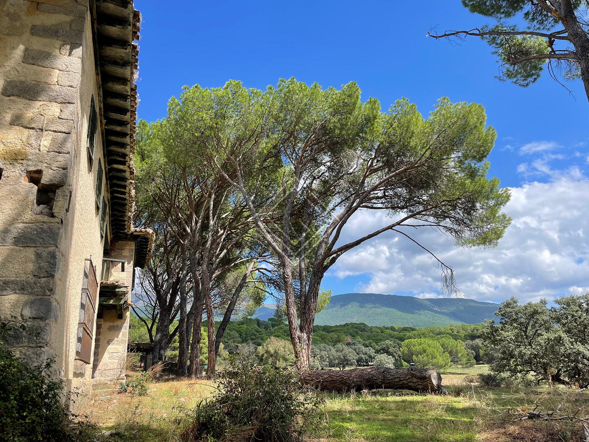 Preciosa finca en venta en el Valle del Tiétar