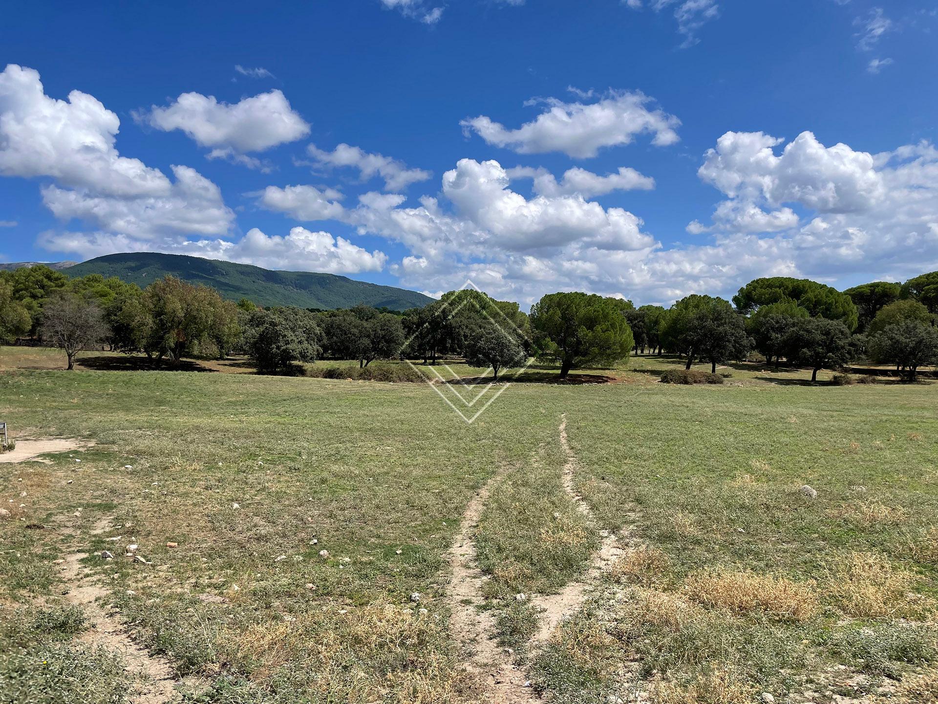 Preciosa finca en venta en el Valle del Tiétar