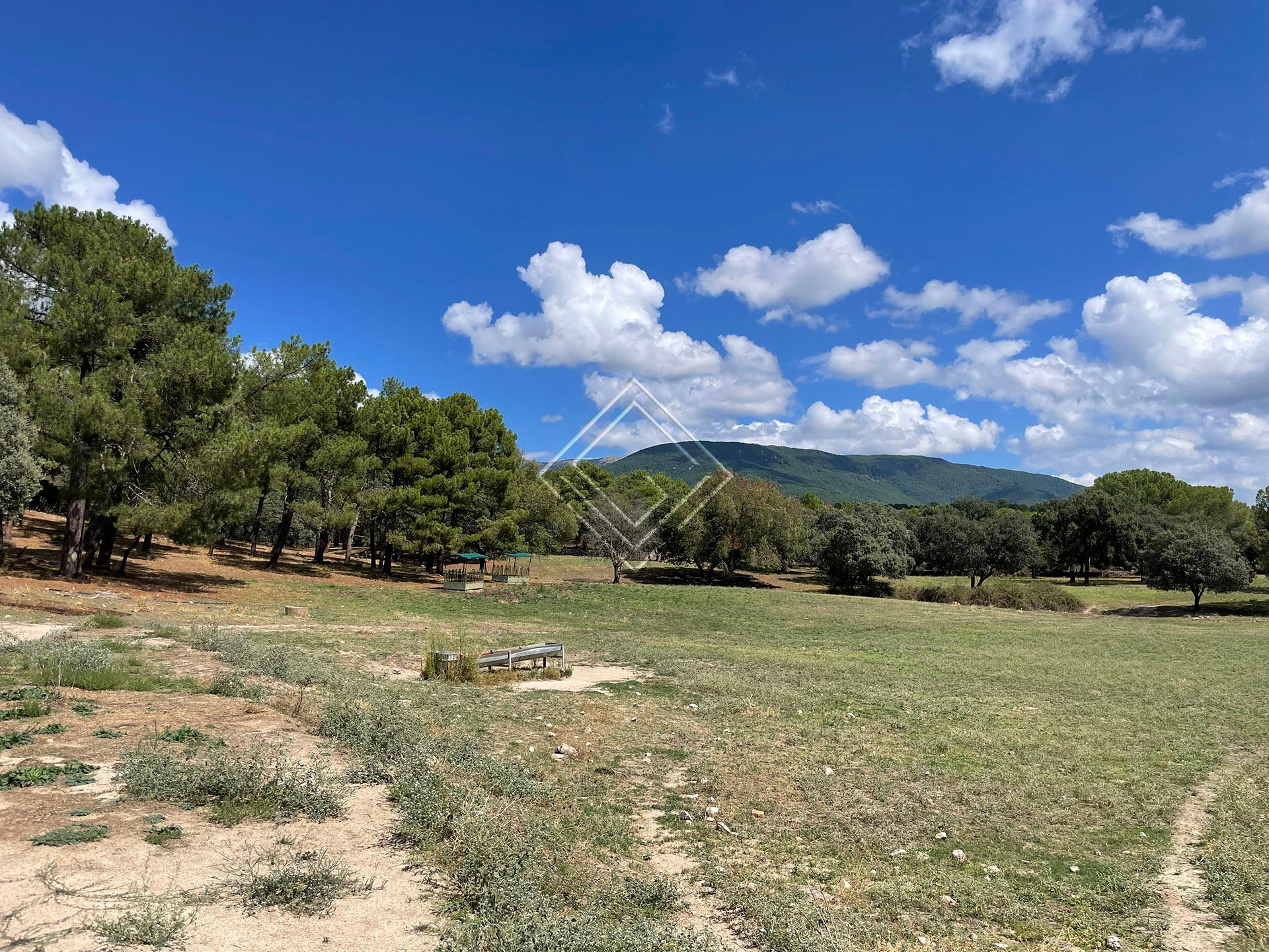 Preciosa finca en venta en el Valle del Tiétar