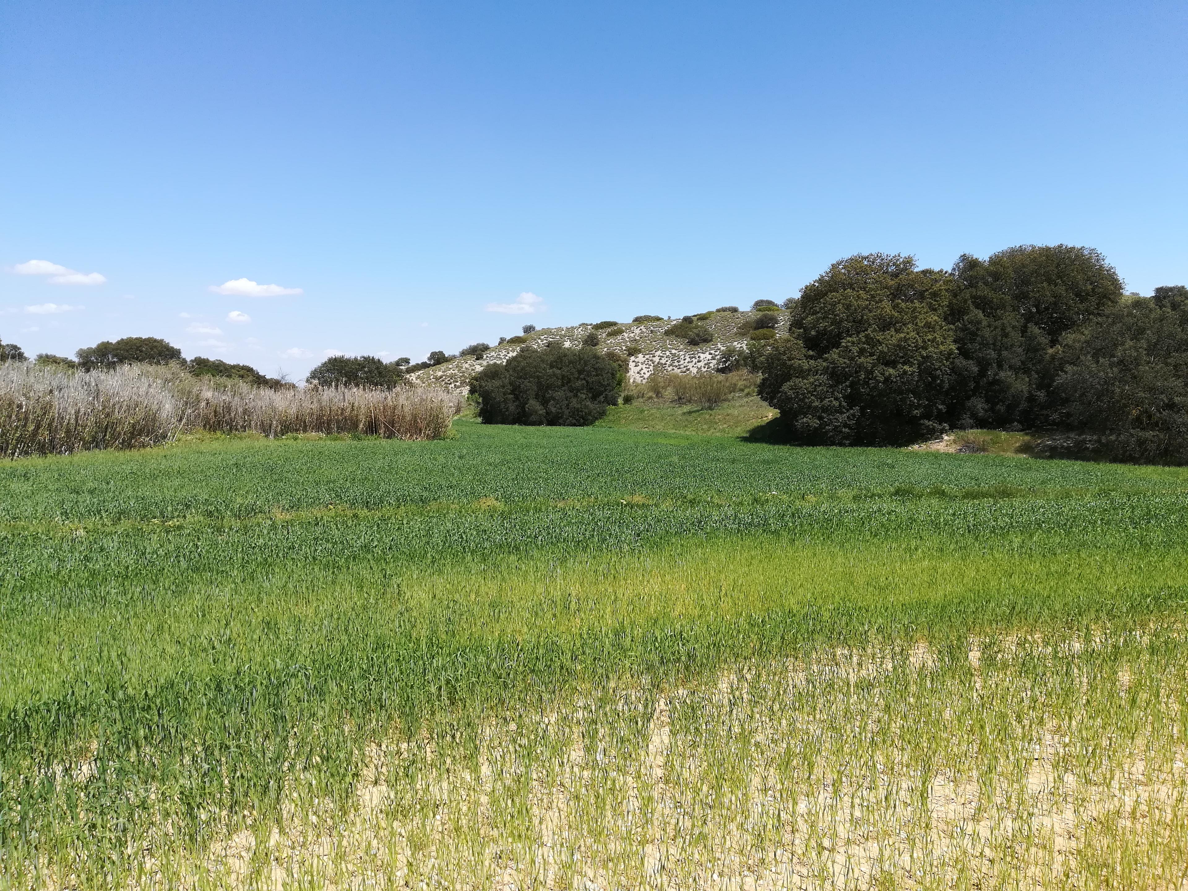 Finca en venta en Toledo