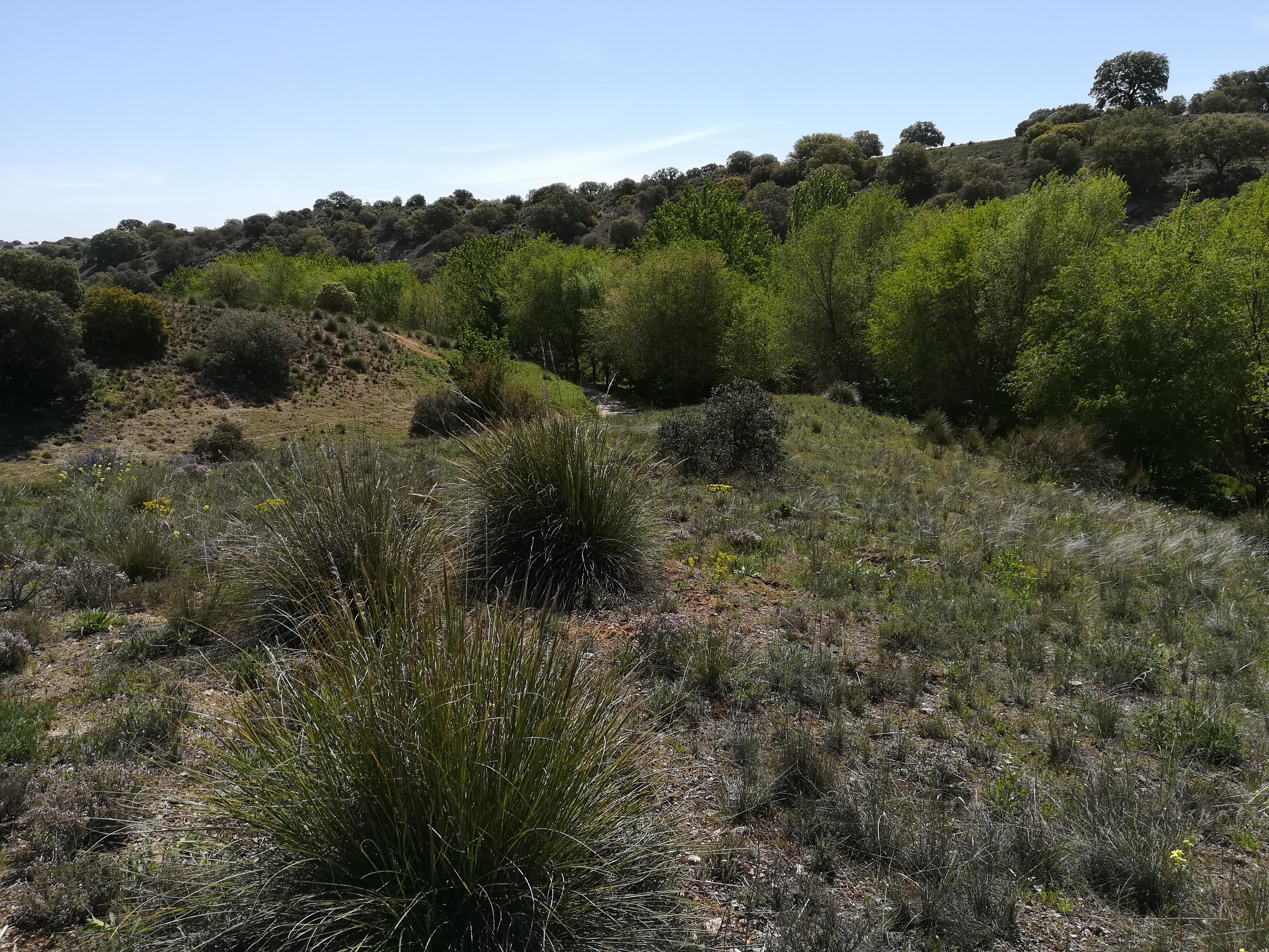 Finca en venta en Toledo