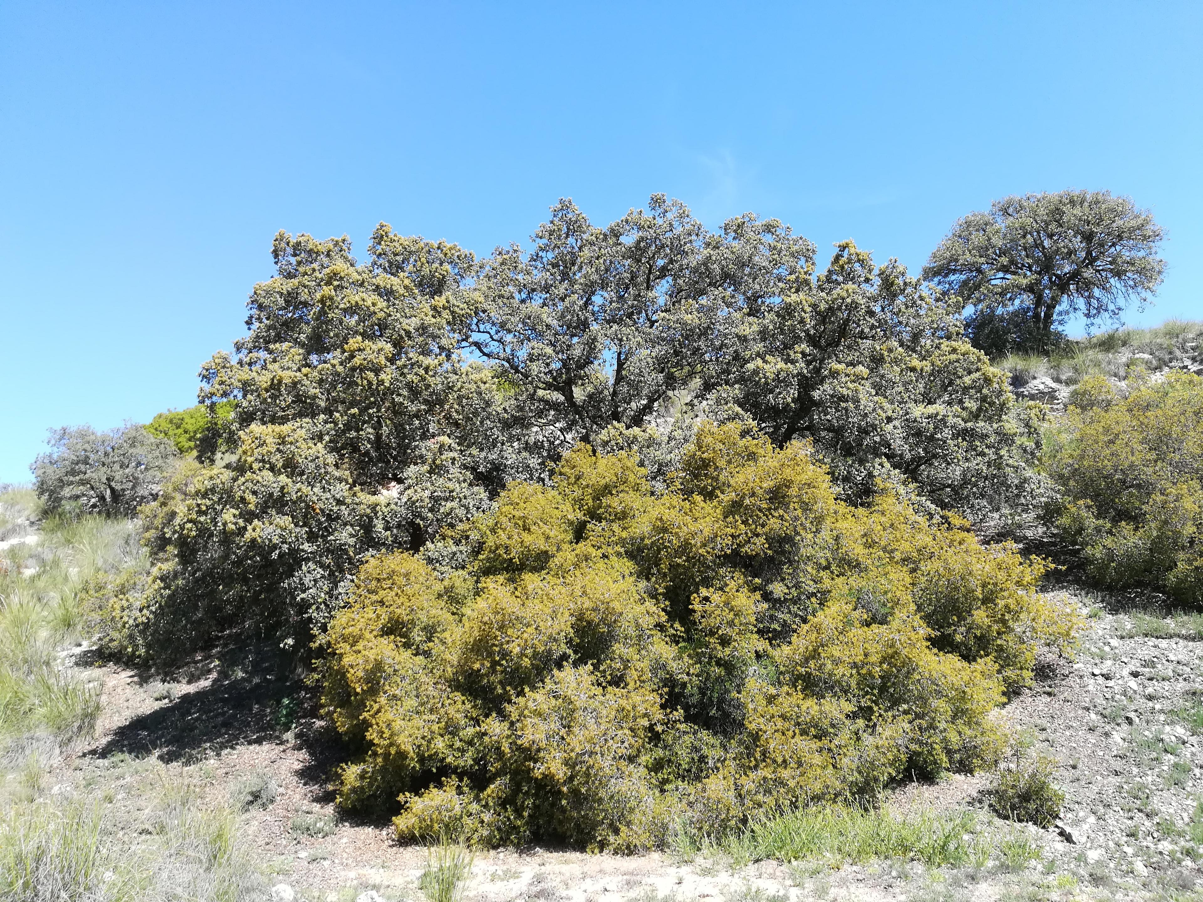 Finca en venta en Toledo