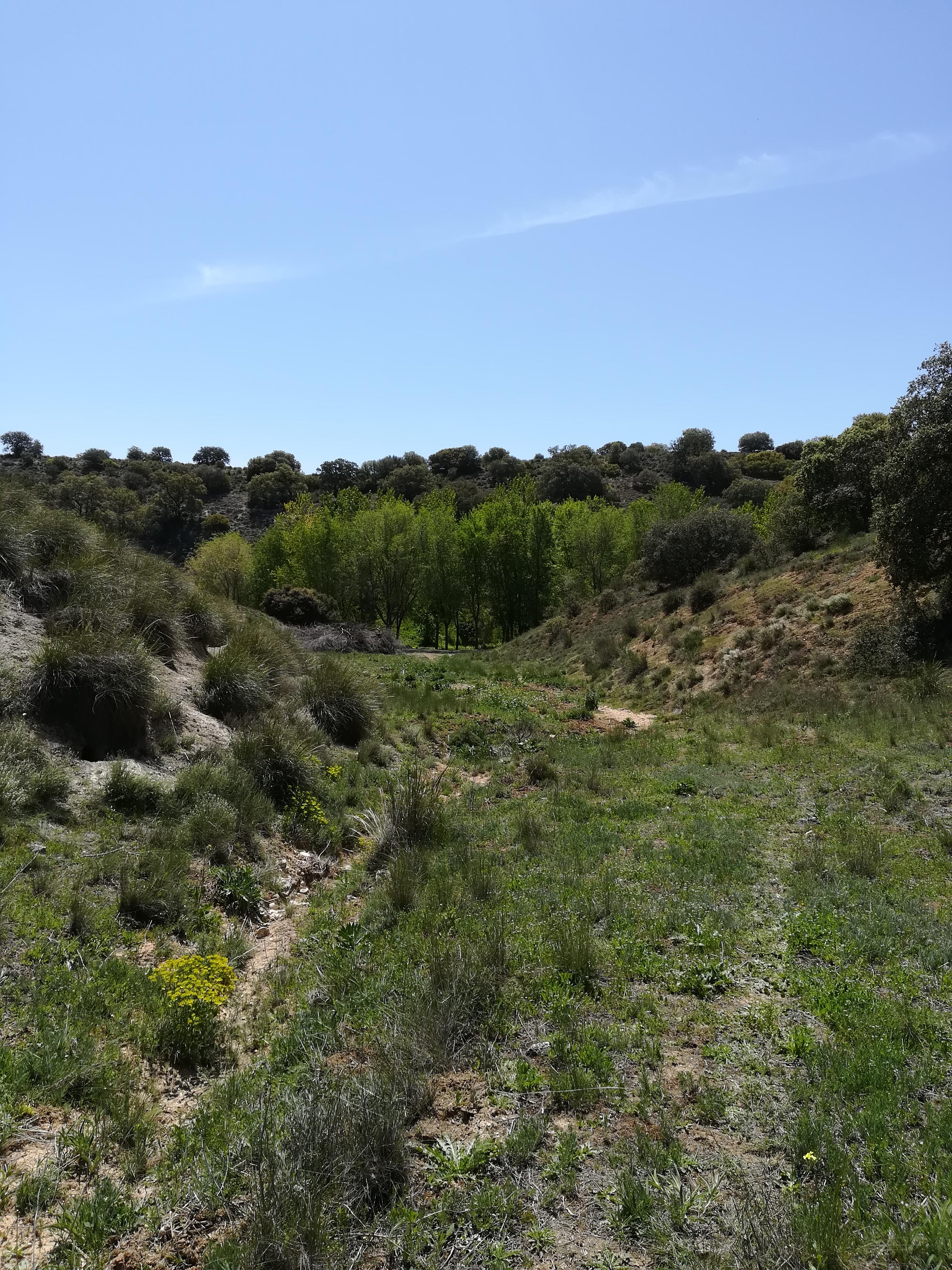 Finca en venta en Toledo