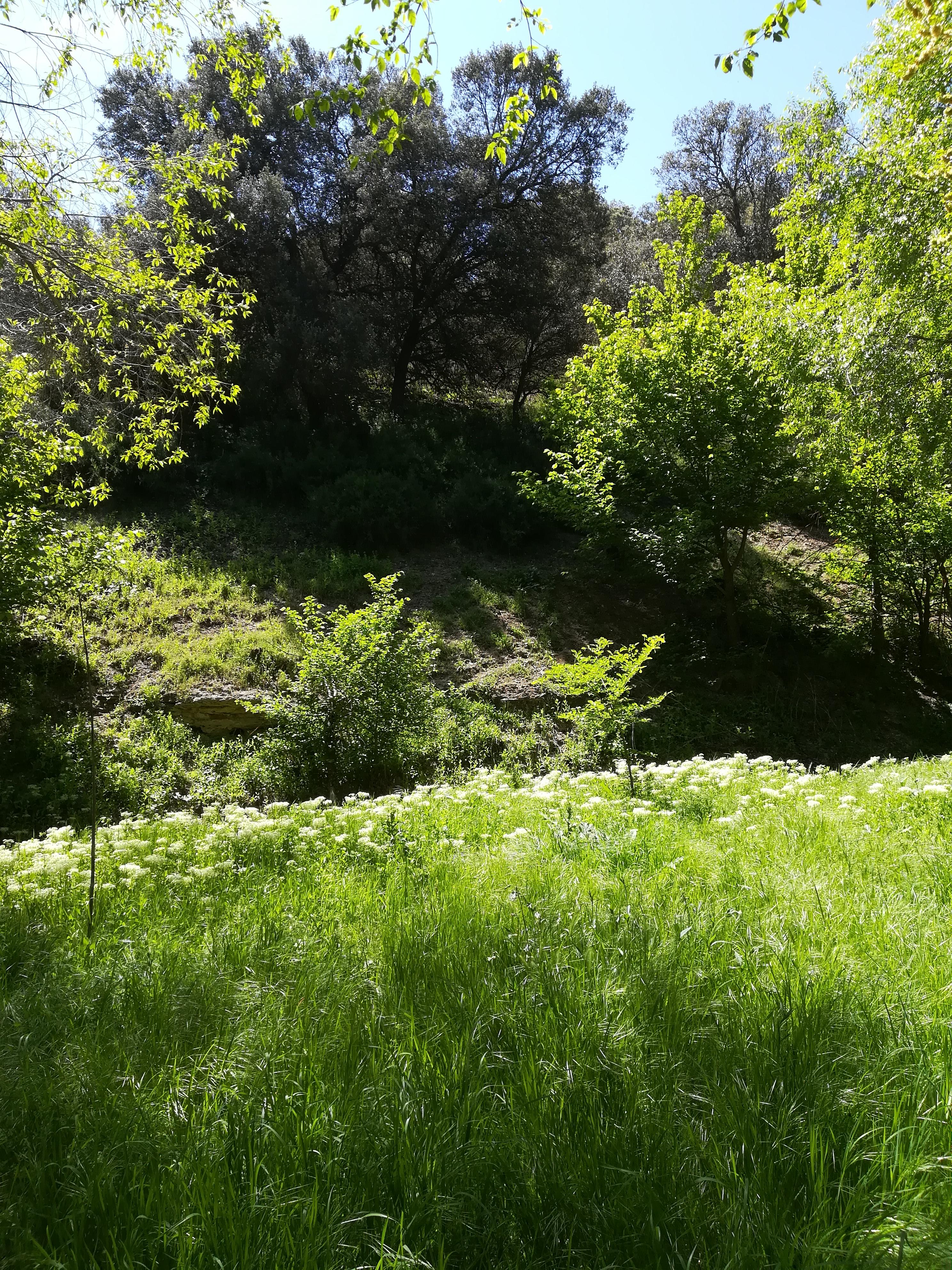 Finca en venta en Toledo