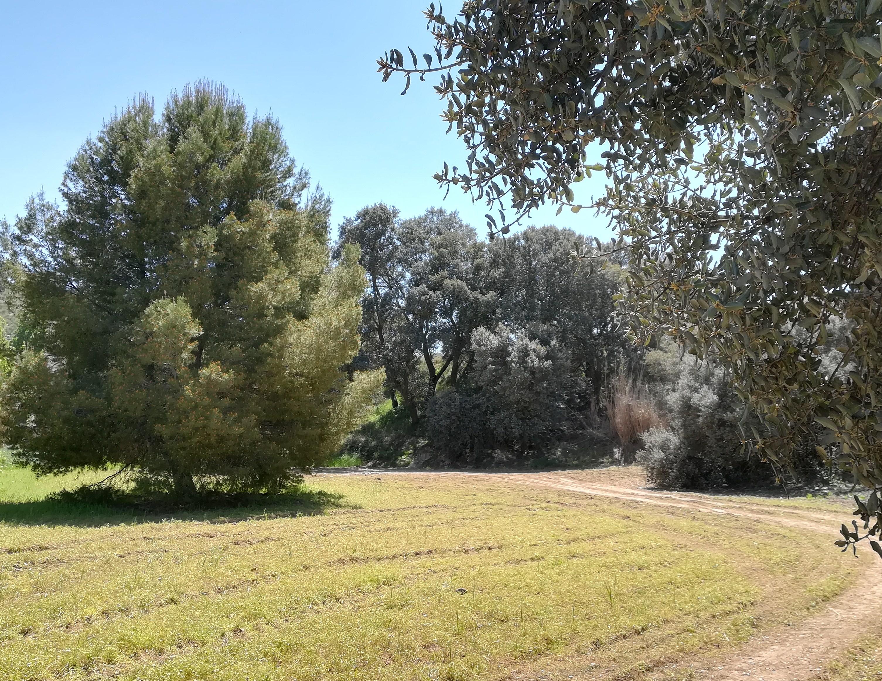 Finca en venta en Toledo