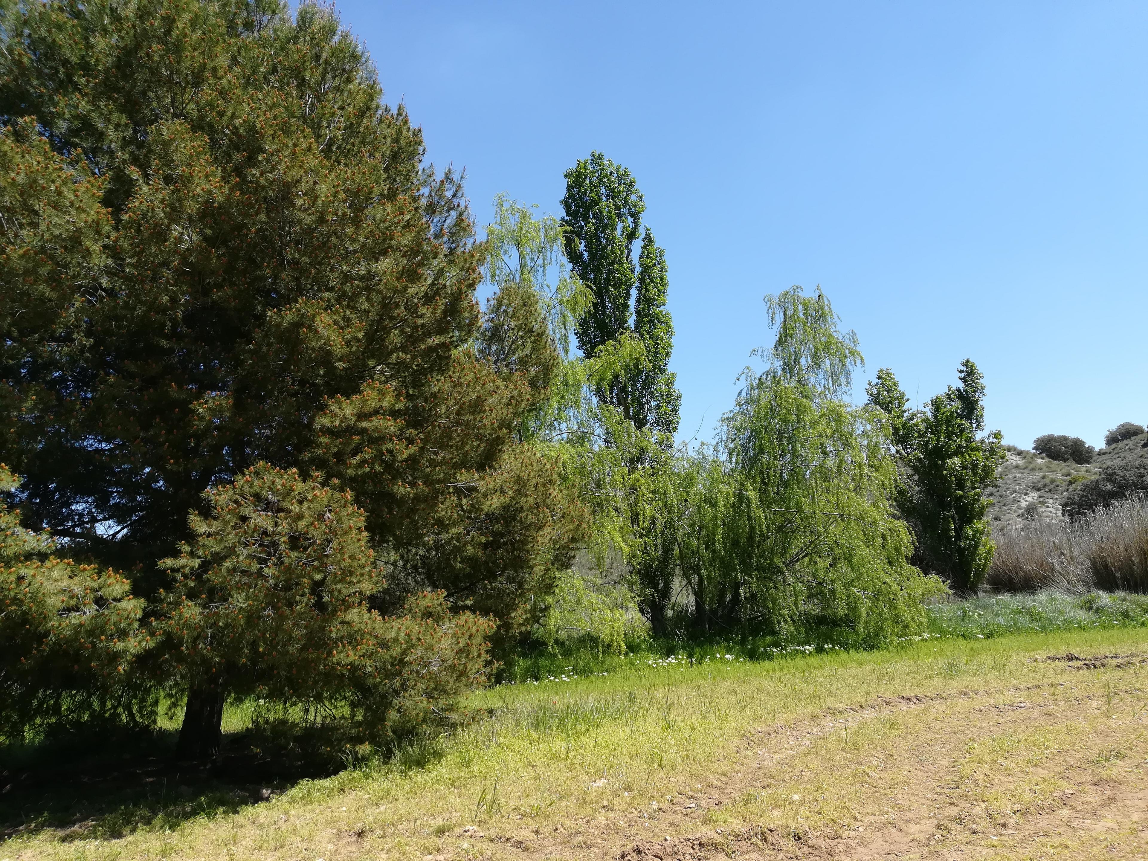 Finca en venta en Toledo