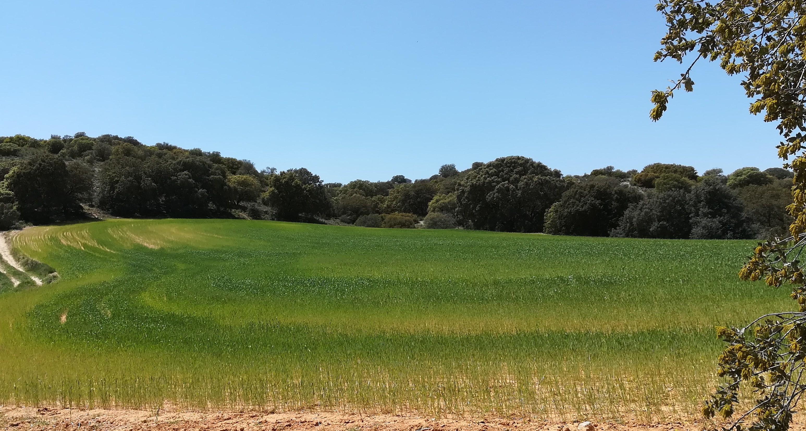 Finca en venta en Toledo