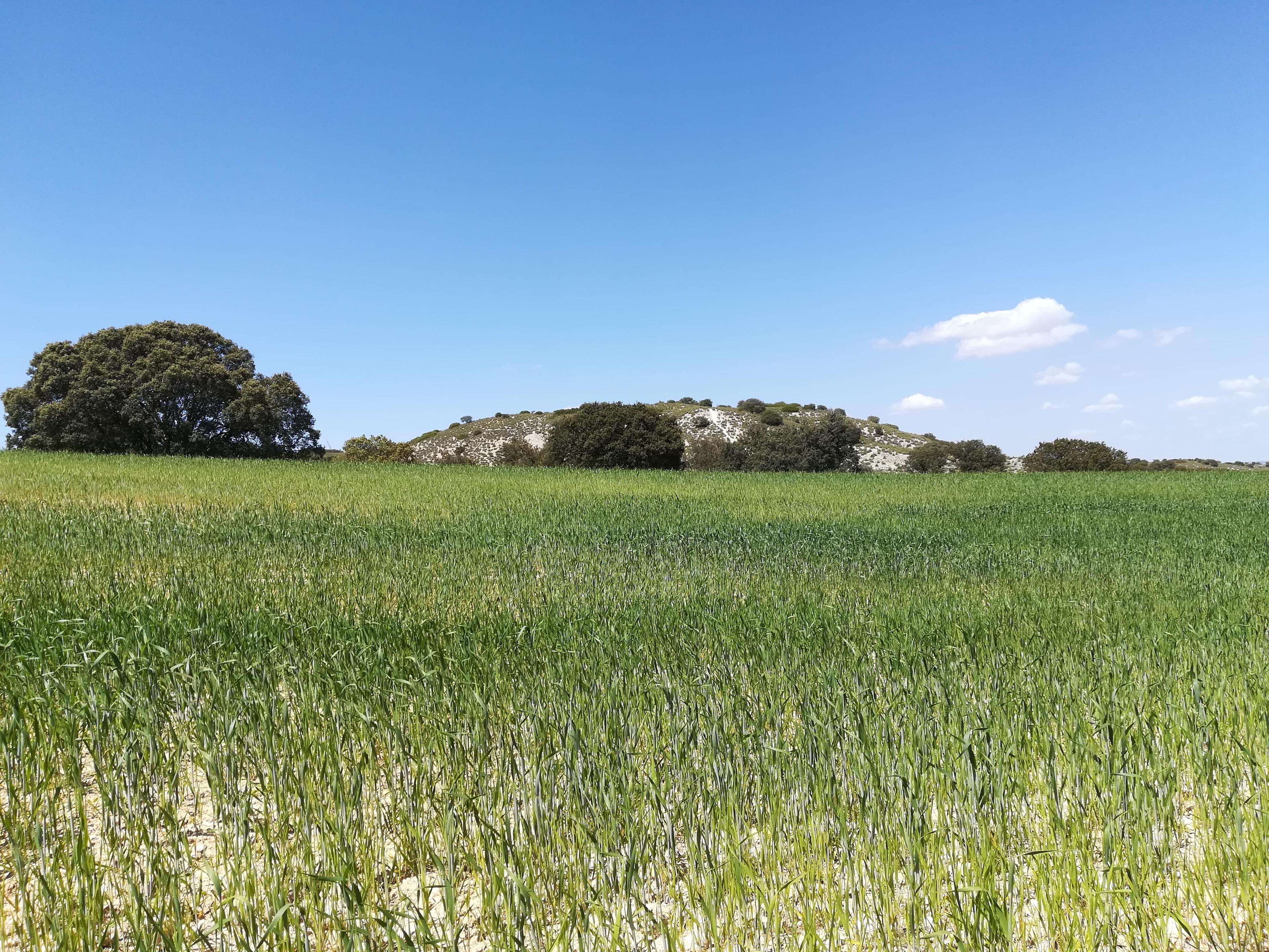 Finca en venta en Toledo