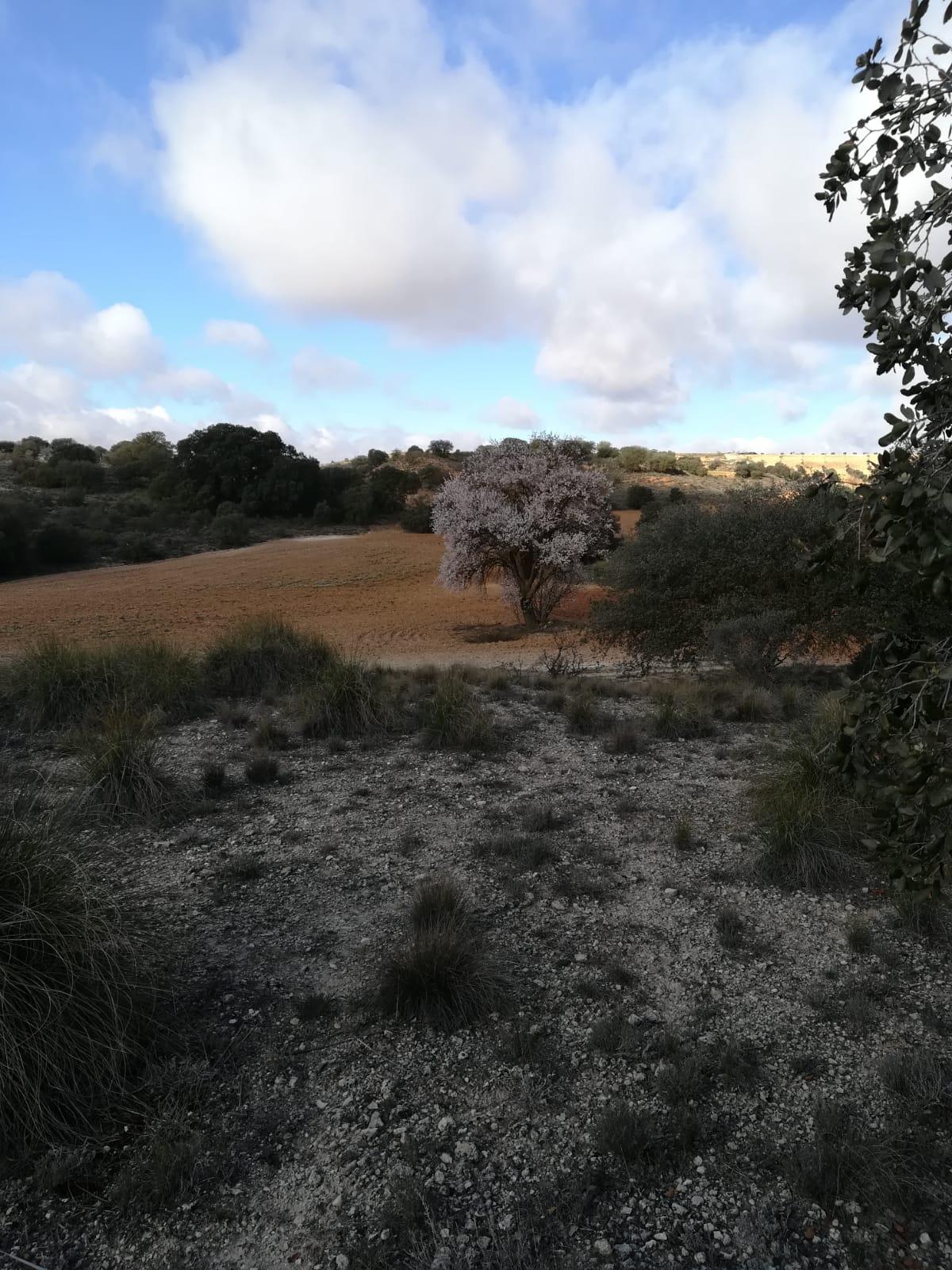 Finca en venta en Toledo