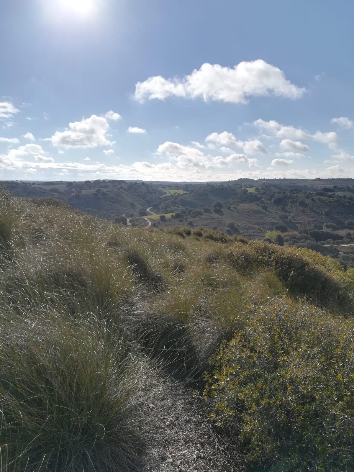 Finca en venta en Toledo