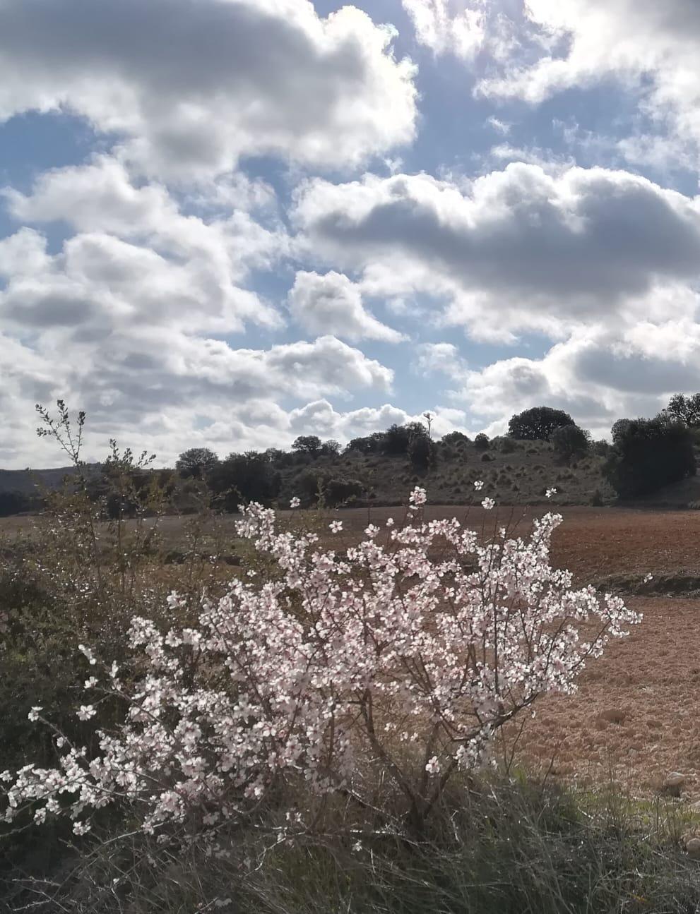 Finca en venta en Toledo