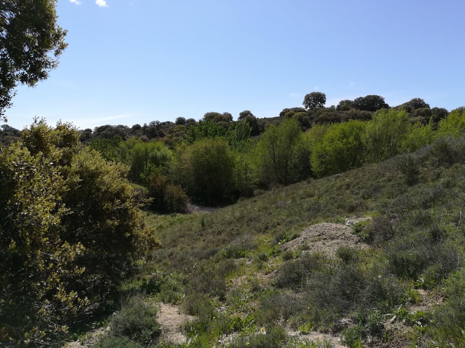 Finca en venta en Toledo