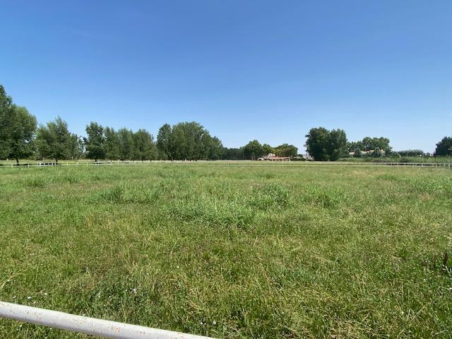 Preciosa Finca para caballos en Aranjuez