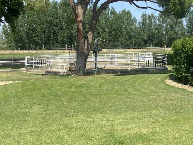 Preciosa Finca para caballos en Aranjuez