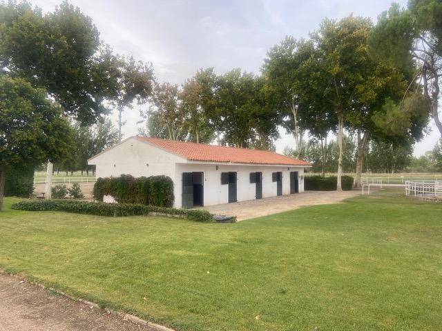 Preciosa Finca para caballos en Aranjuez