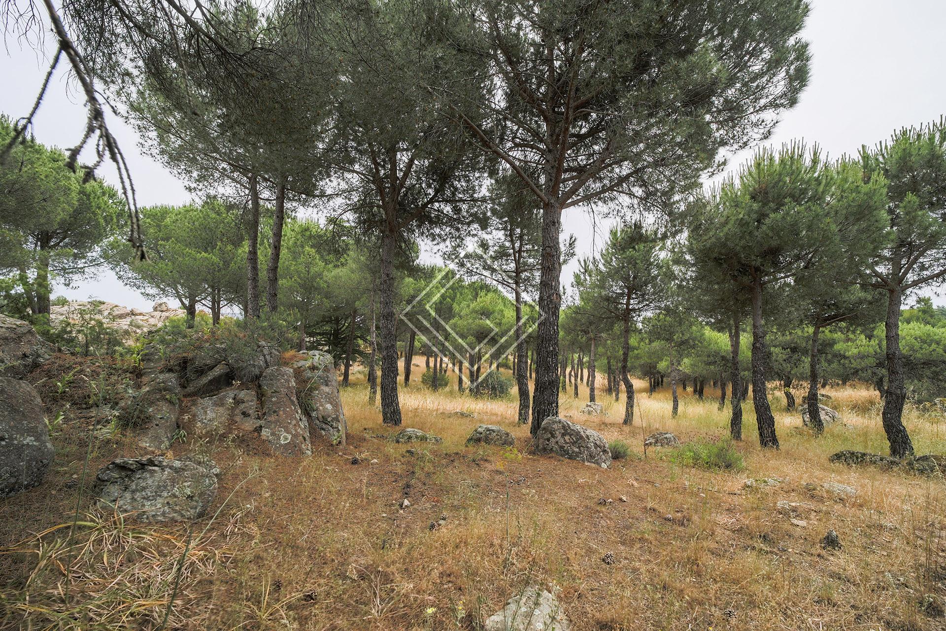 Maravillosa Casa de Campos con vistas 