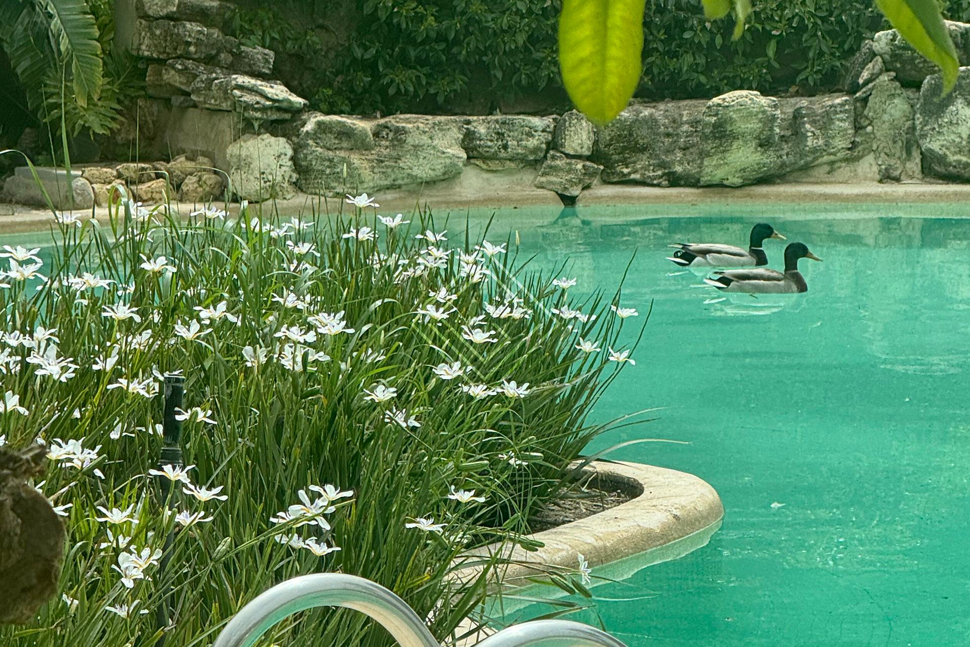 Villa de lujo en primera línea de golf en Río Real – Marbella