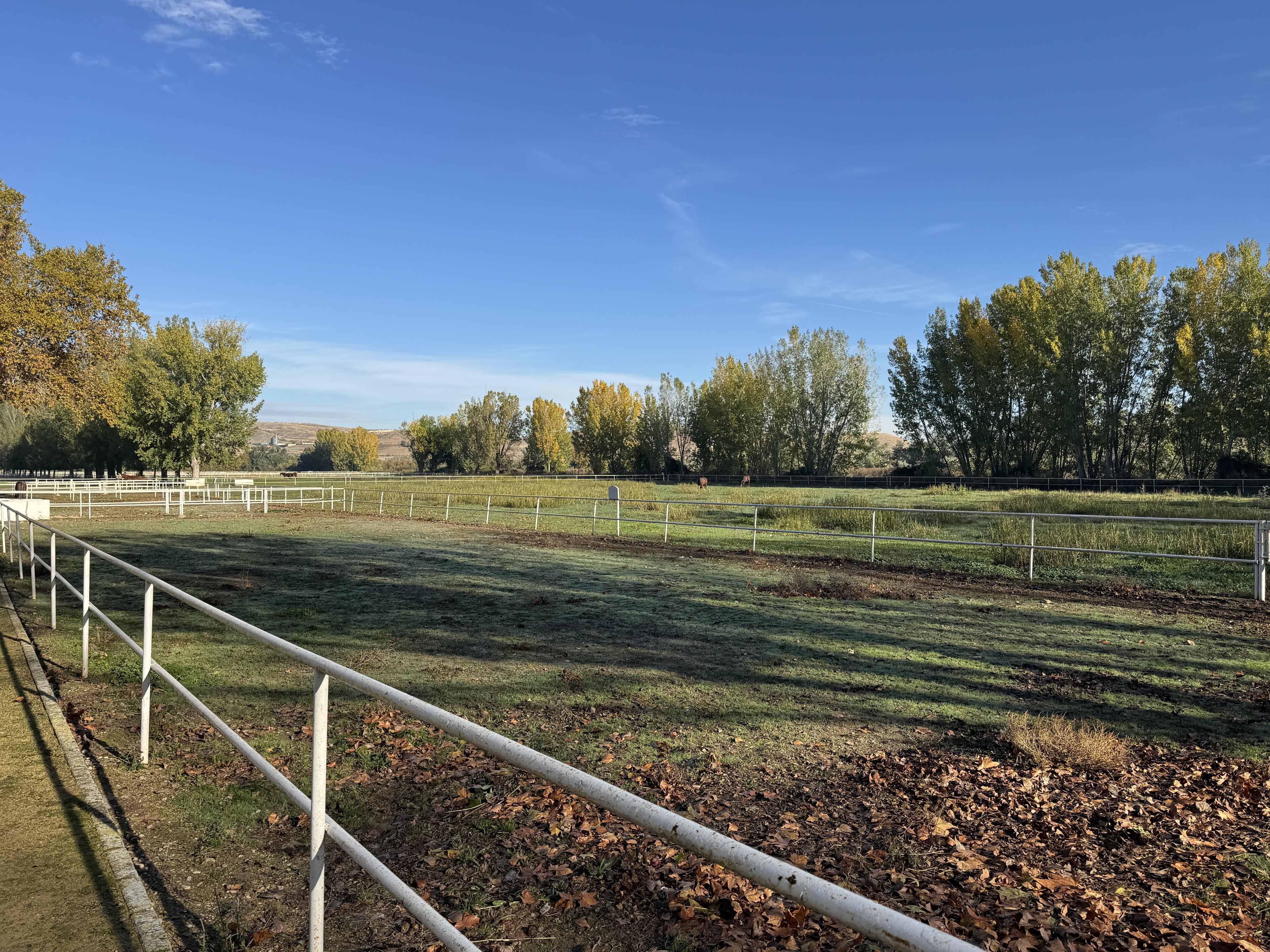 Preciosa Finca para caballos en Aranjuez