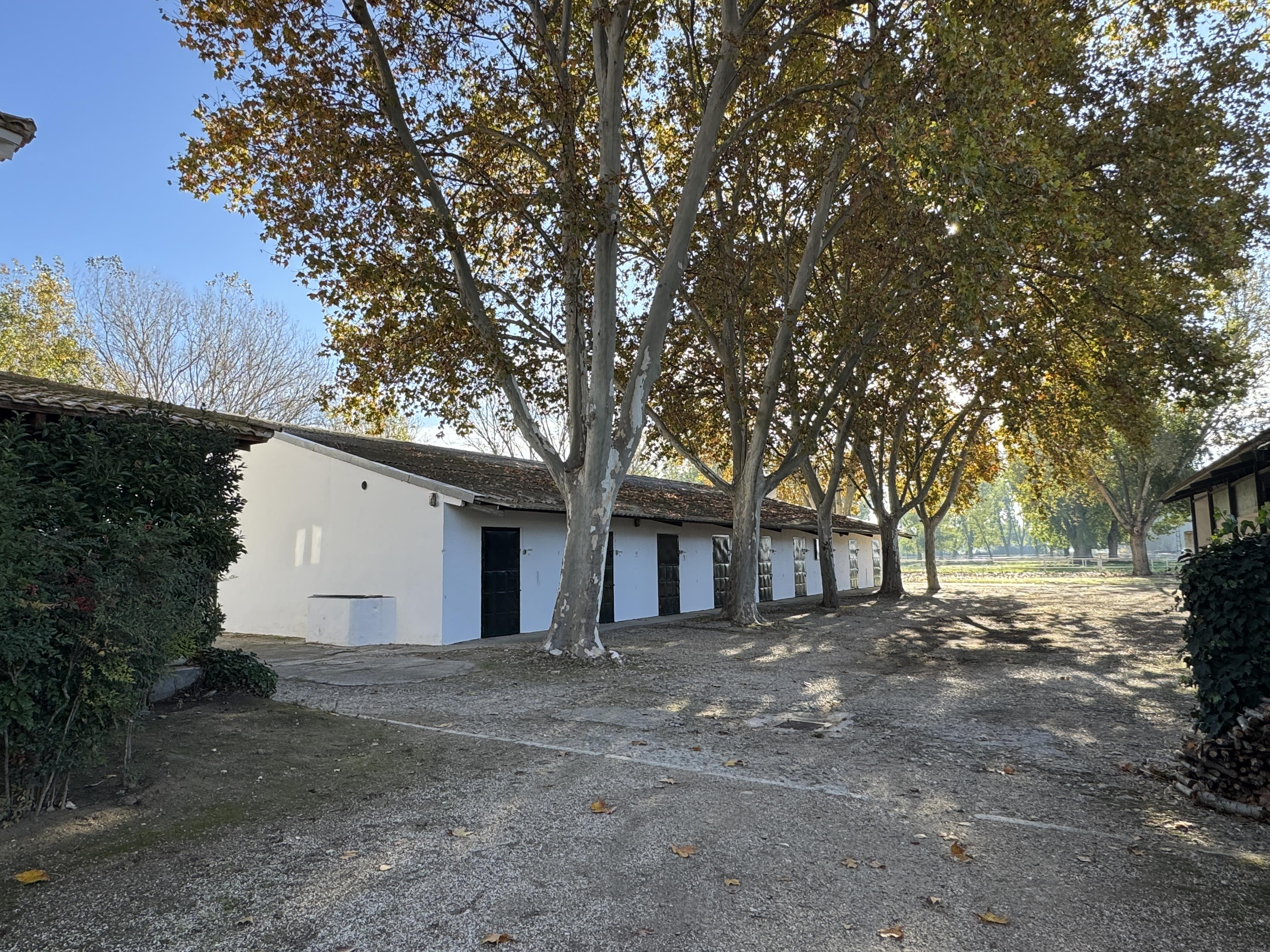 Preciosa Finca para caballos en Aranjuez