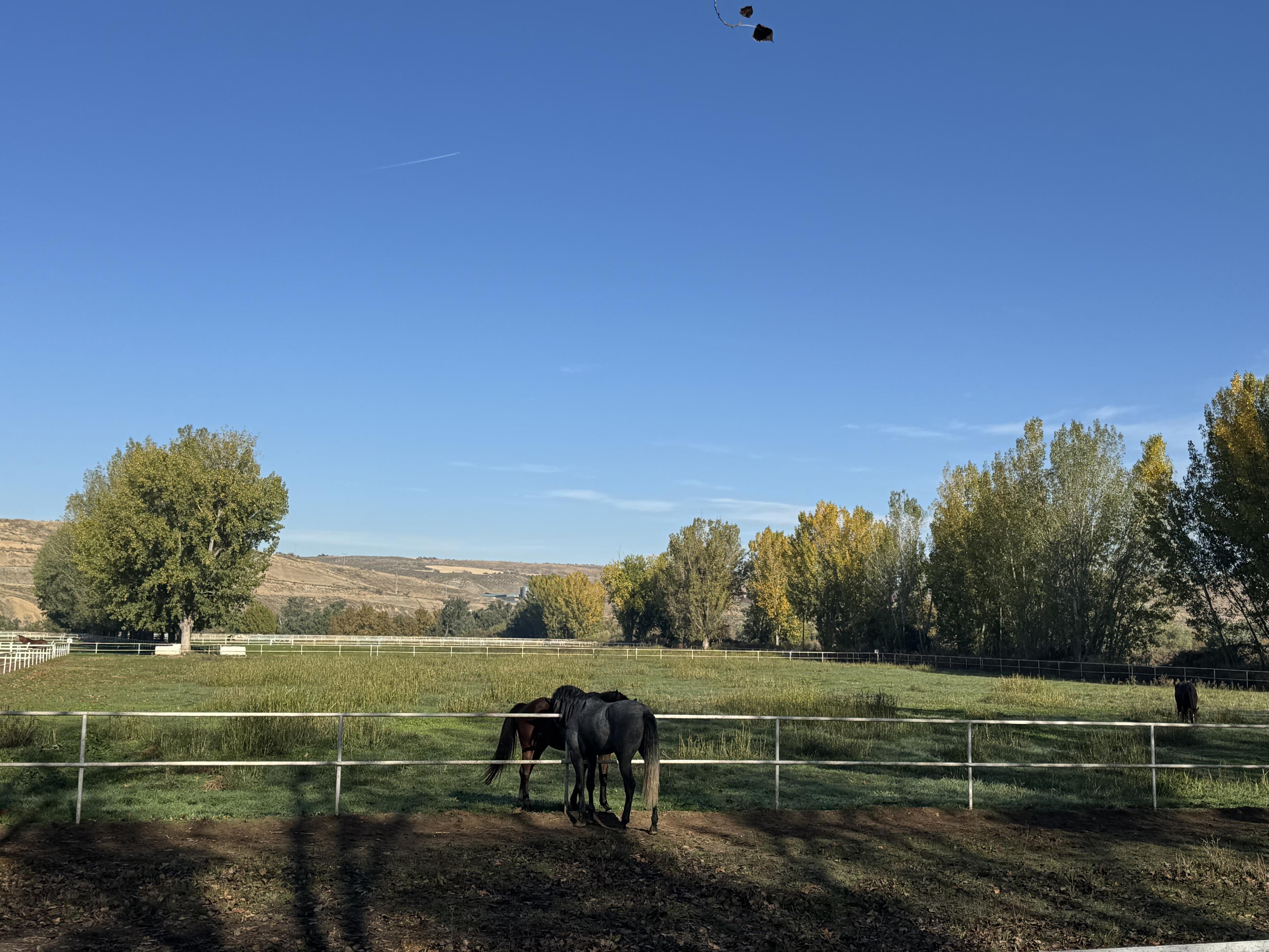 Preciosa Finca para caballos en Aranjuez