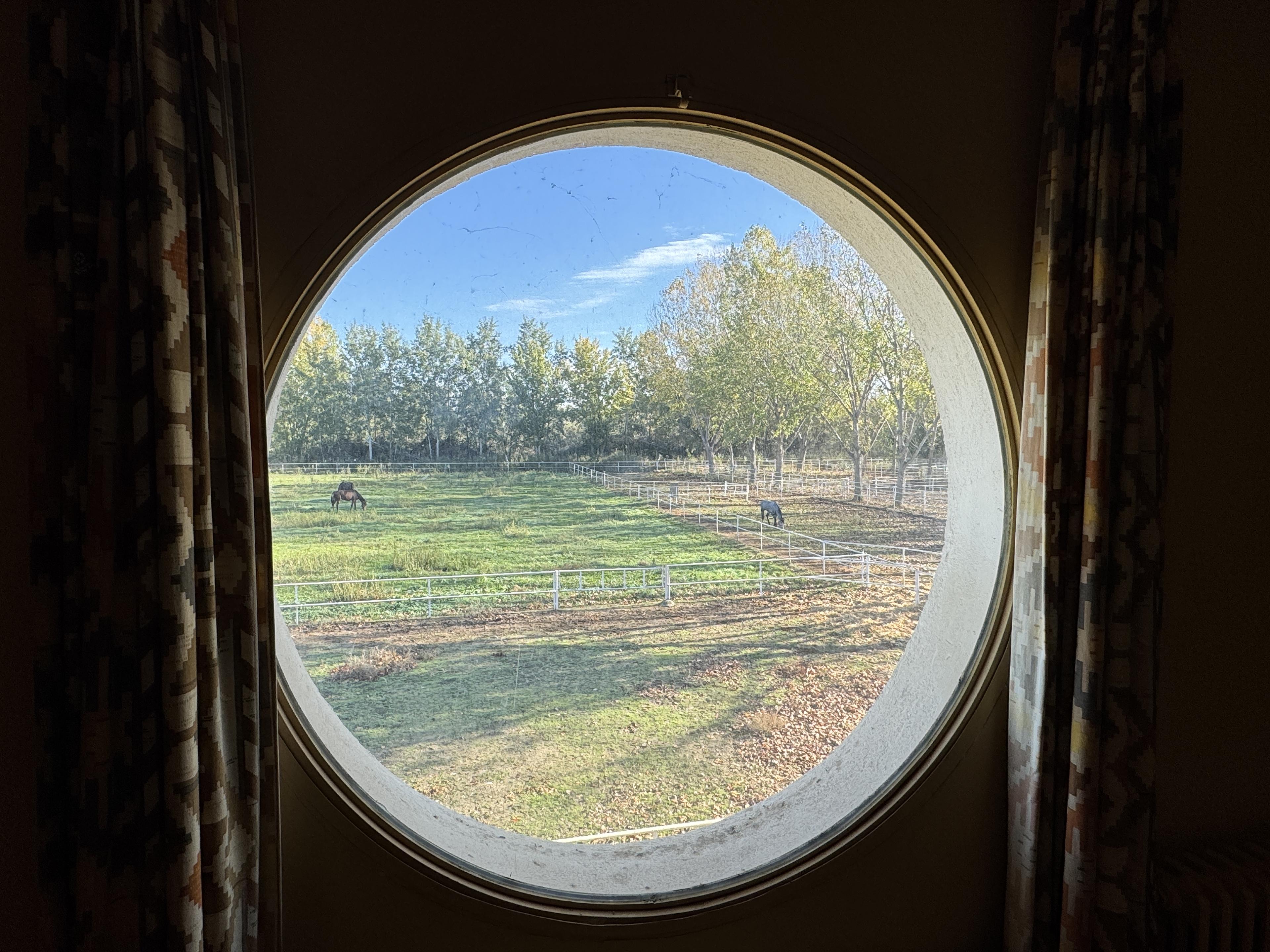 Preciosa Finca para caballos en Aranjuez