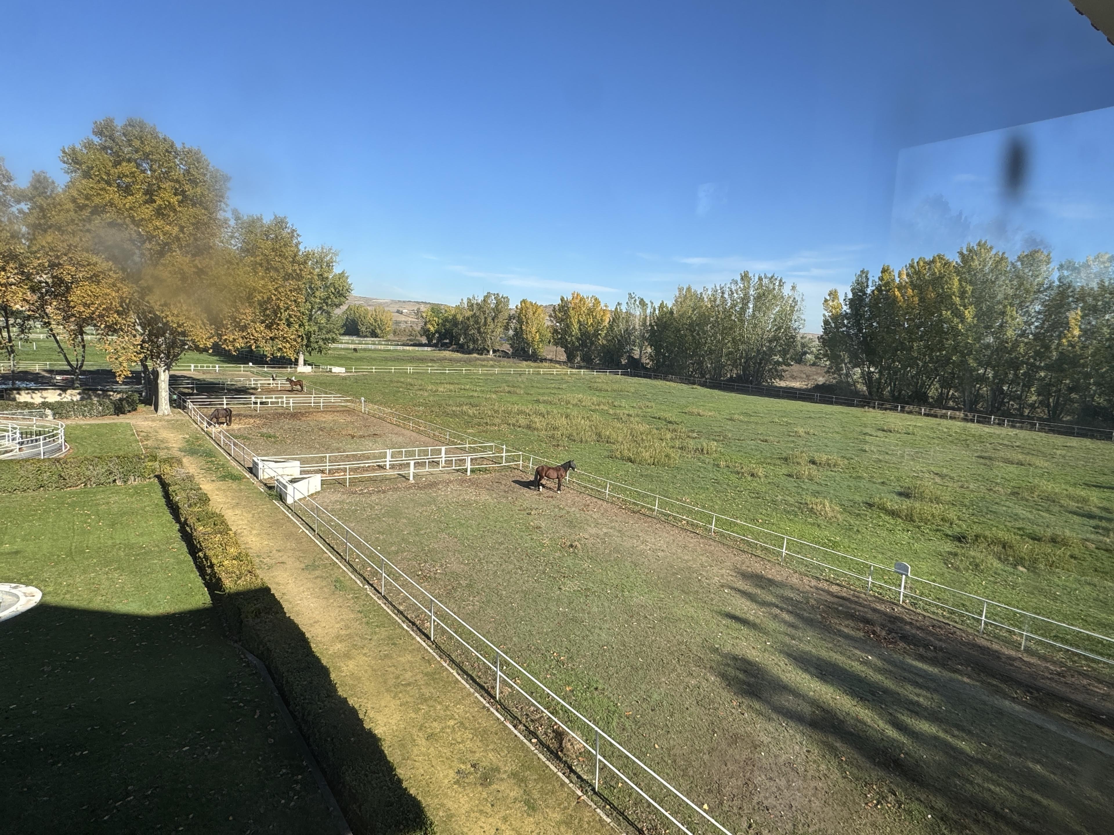 Preciosa Finca para caballos en Aranjuez