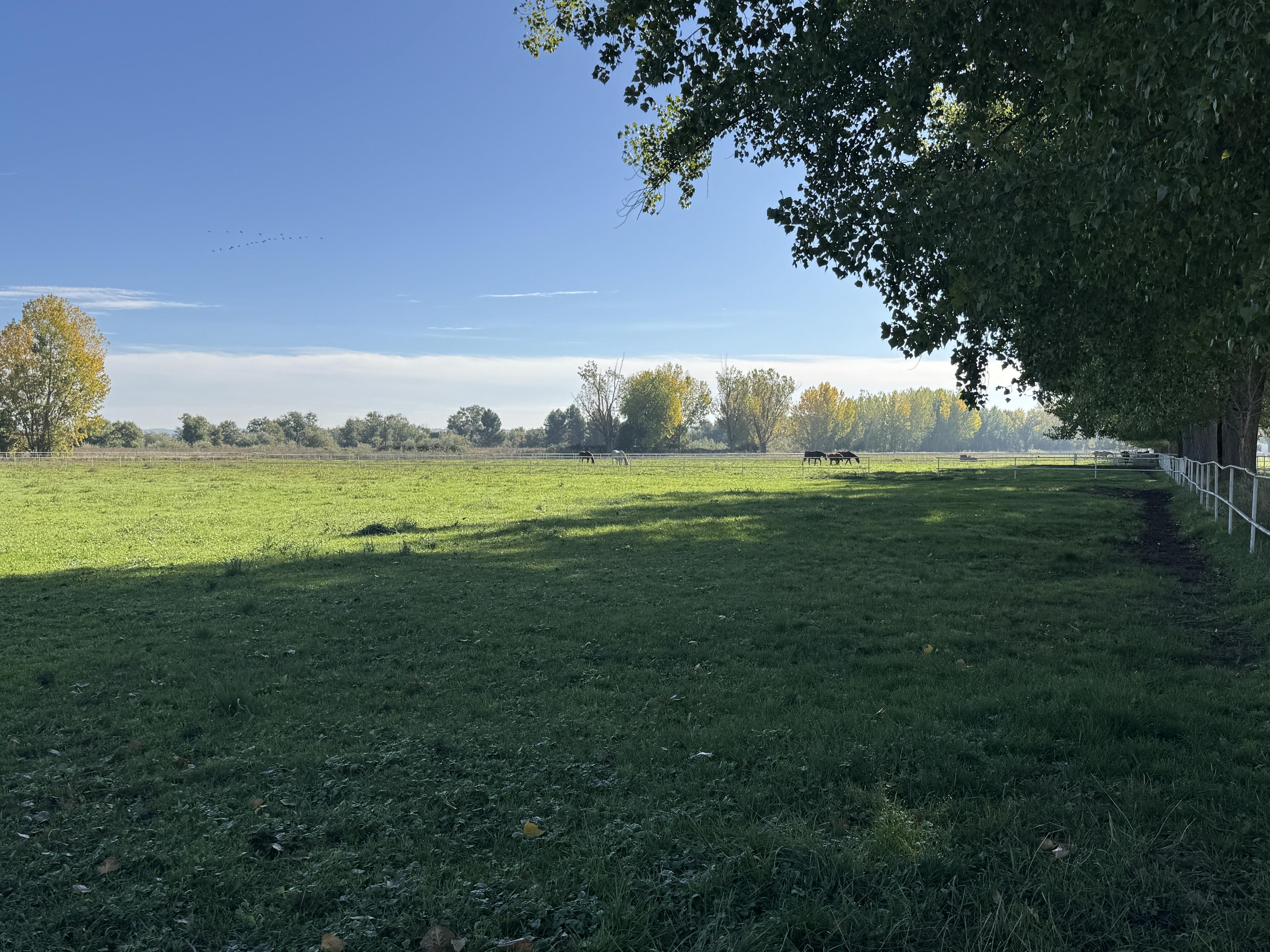 Preciosa Finca para caballos en Aranjuez