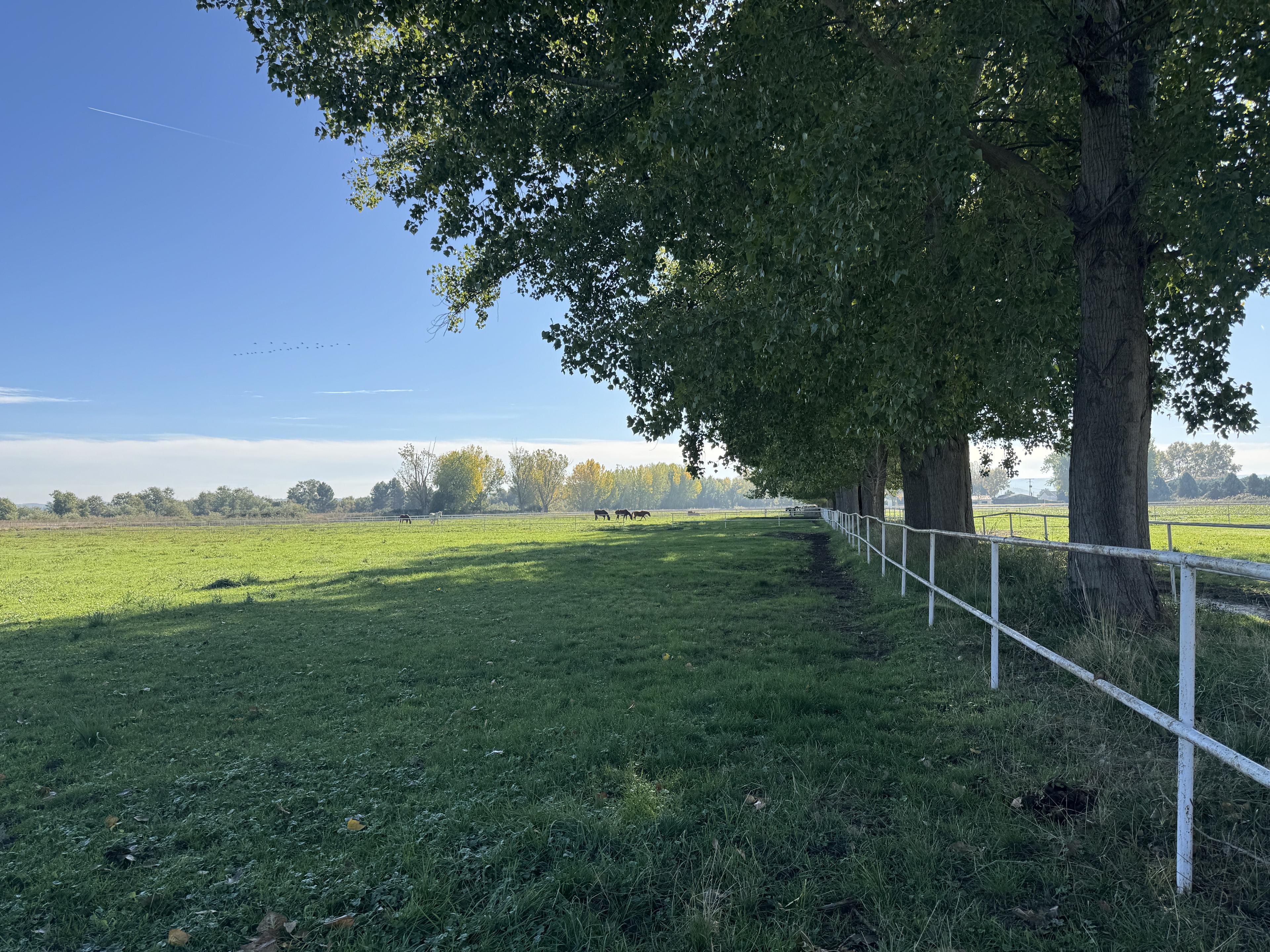 Preciosa Finca para caballos en Aranjuez