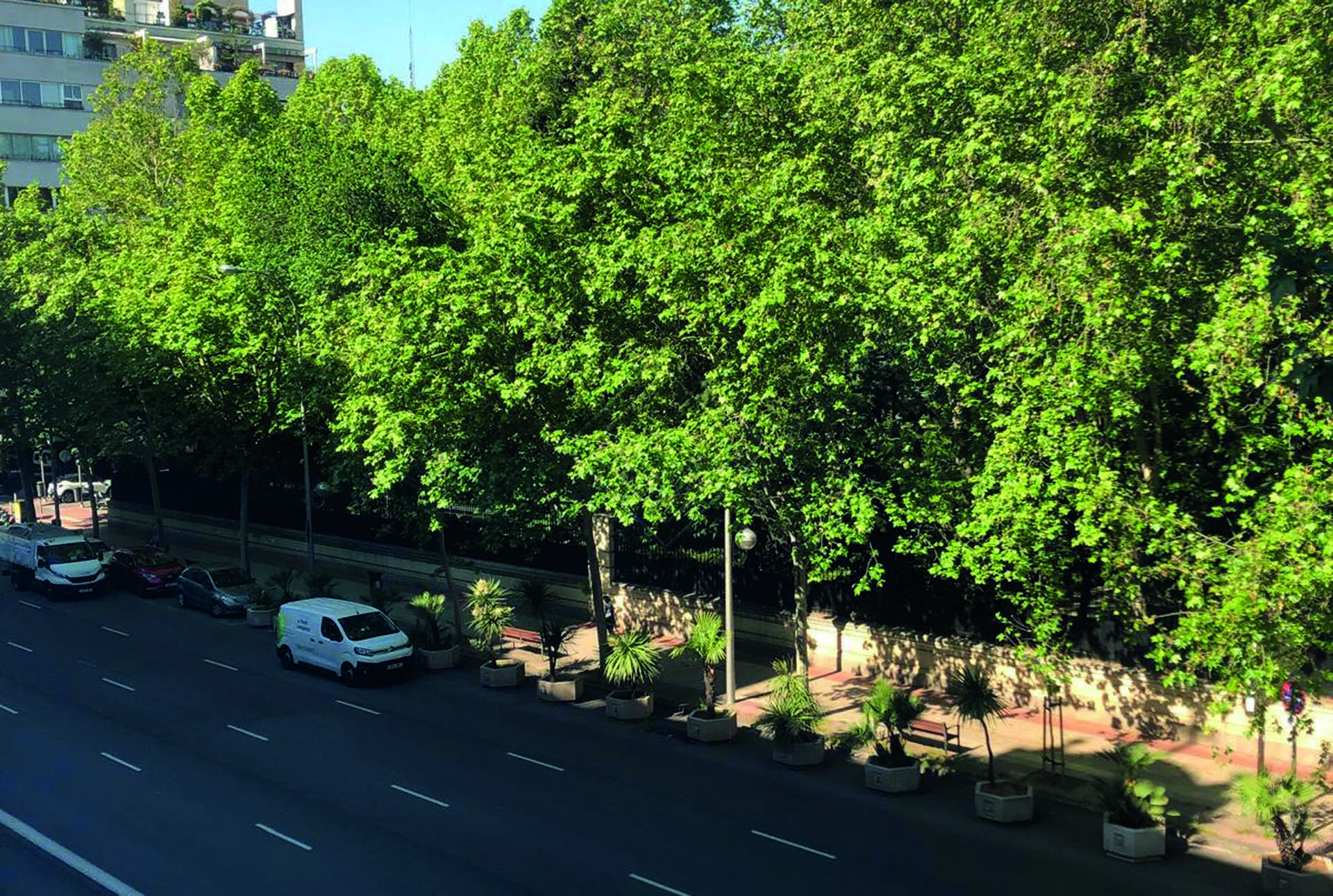 Imagen 4 de la propiedad