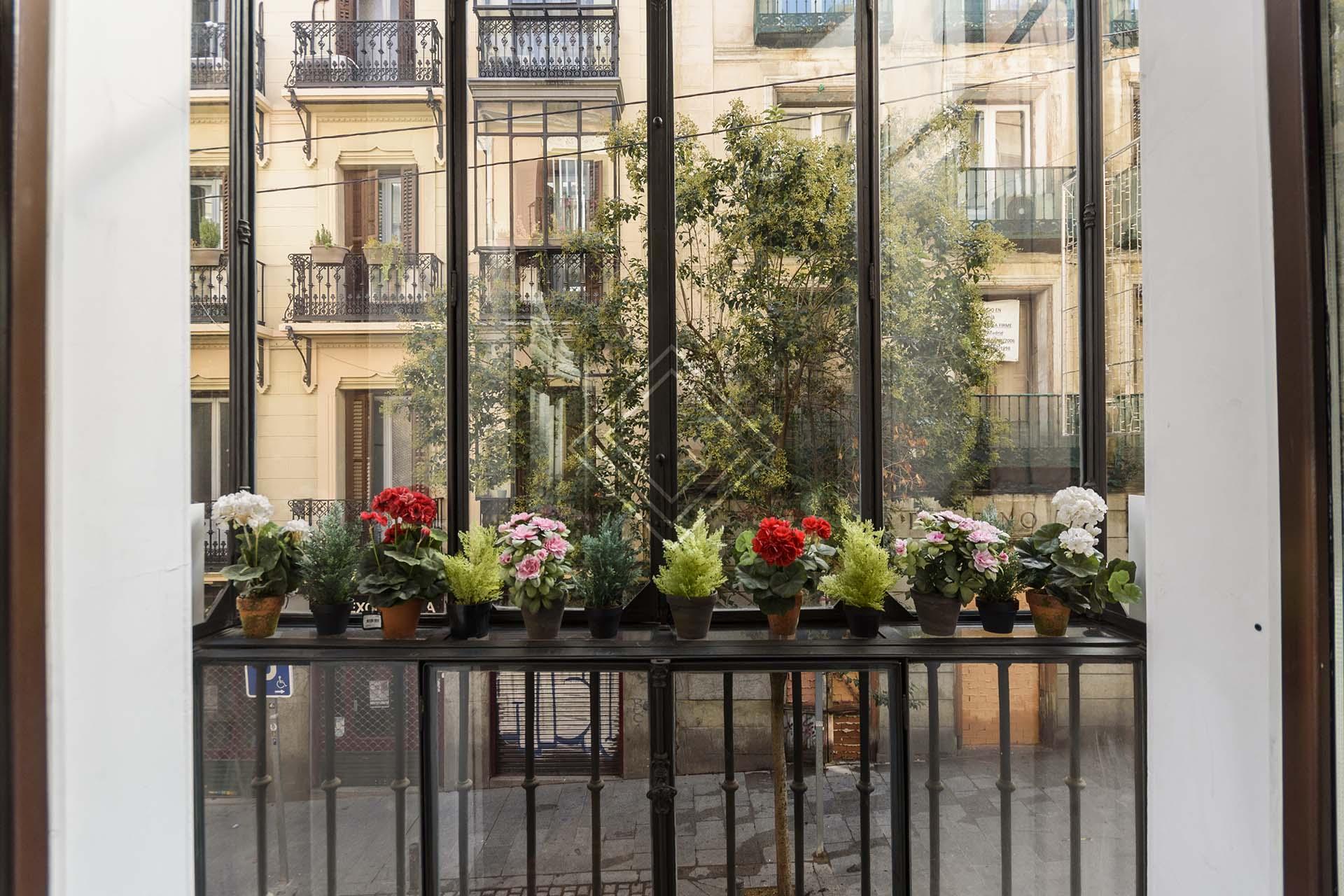 Imagen 25 de la propiedad