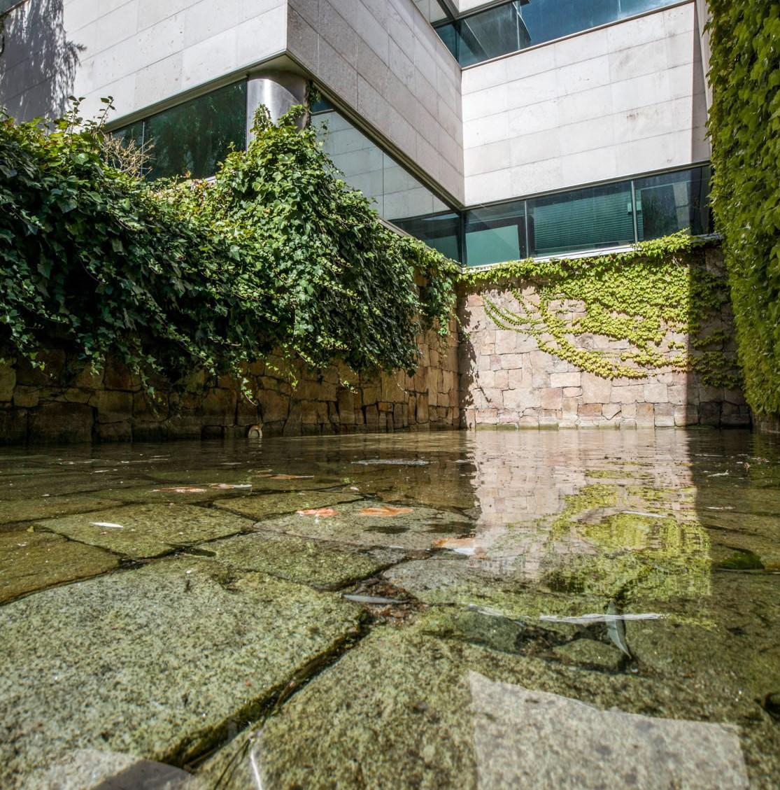 Imagen 5 de la propiedad