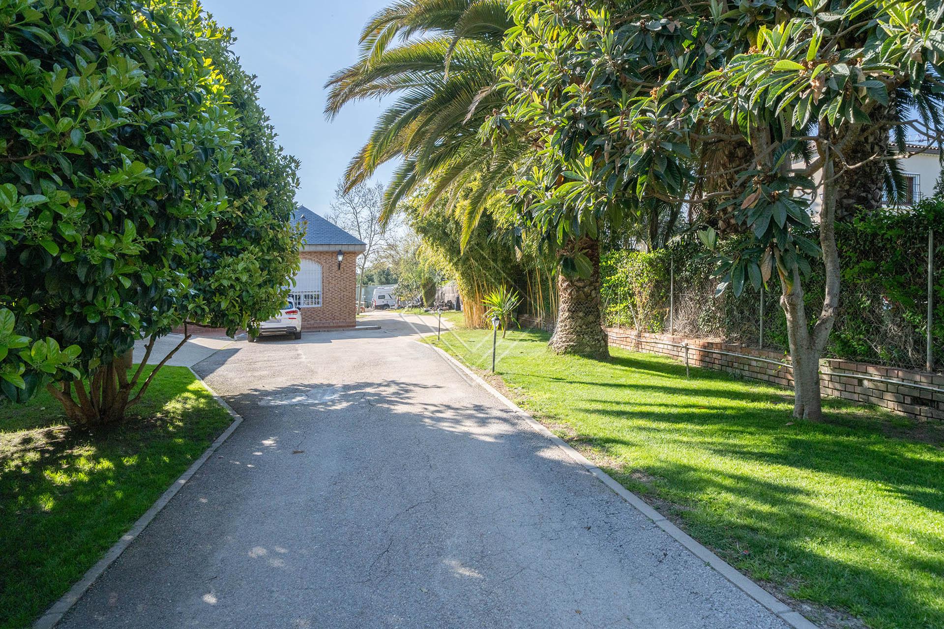 Imagen 15 de la propiedad