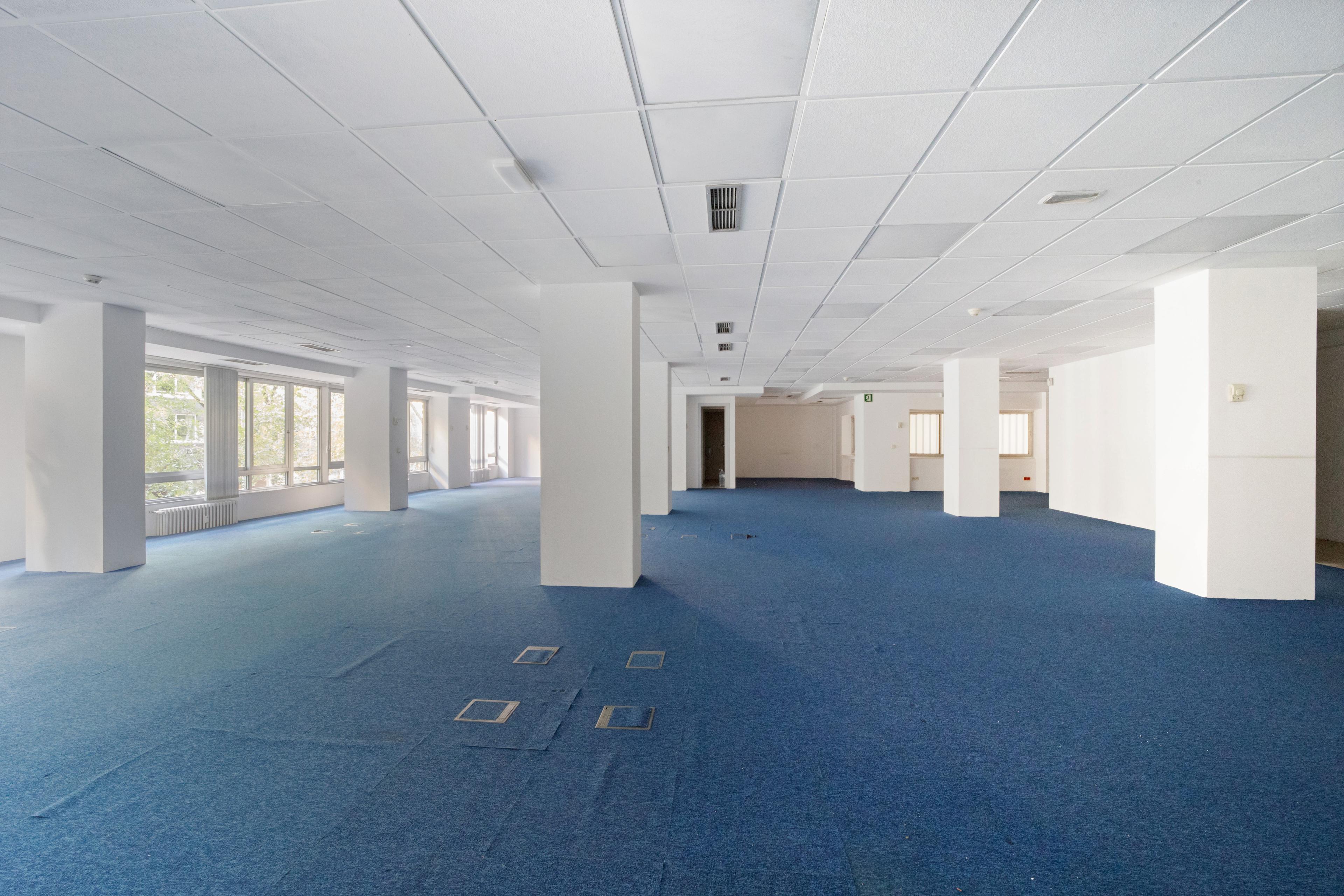 Imagen 15 de la propiedad