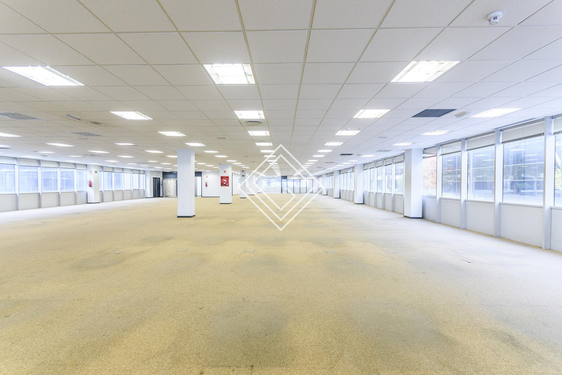 Imagen 25 de la propiedad