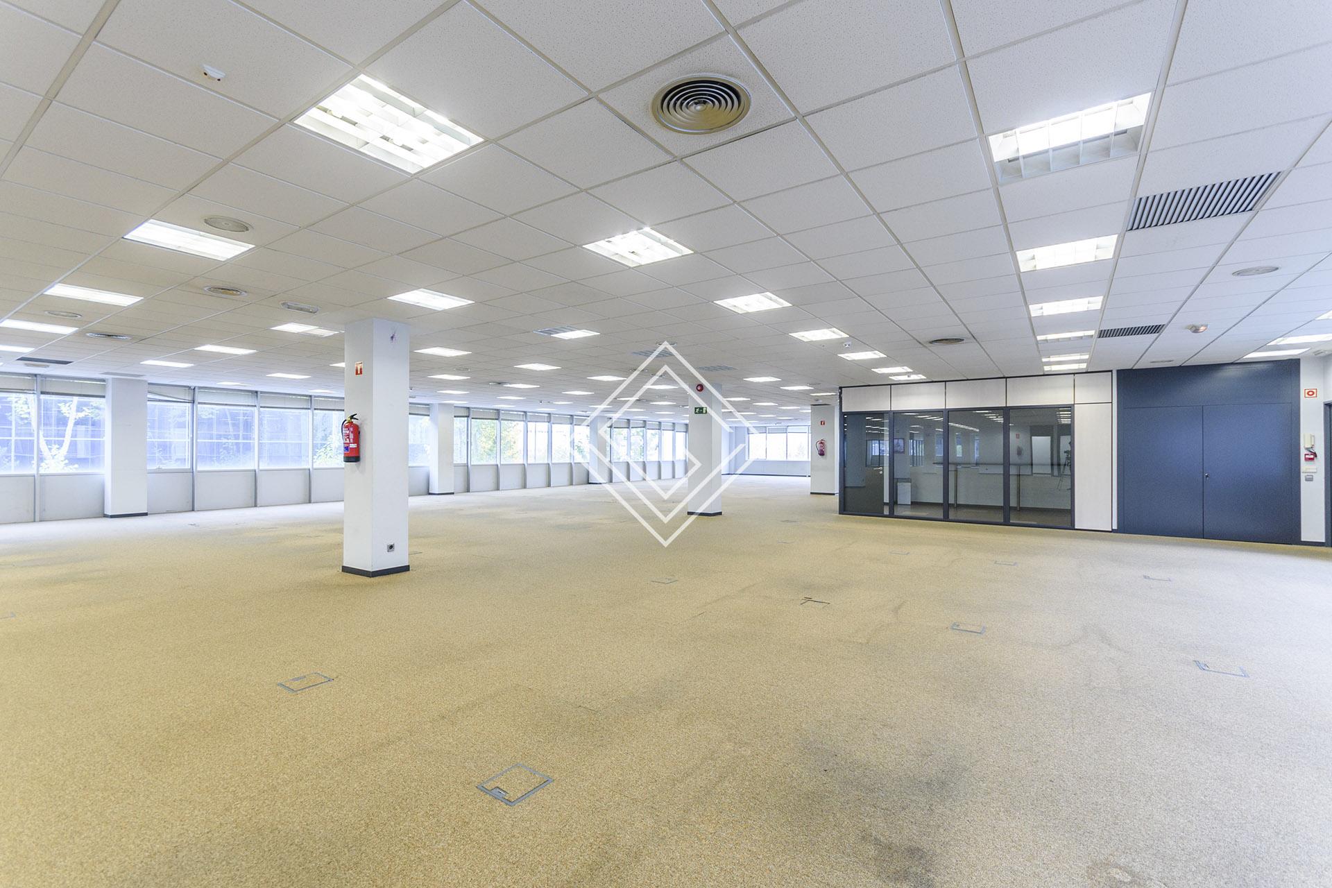 Imagen 23 de la propiedad