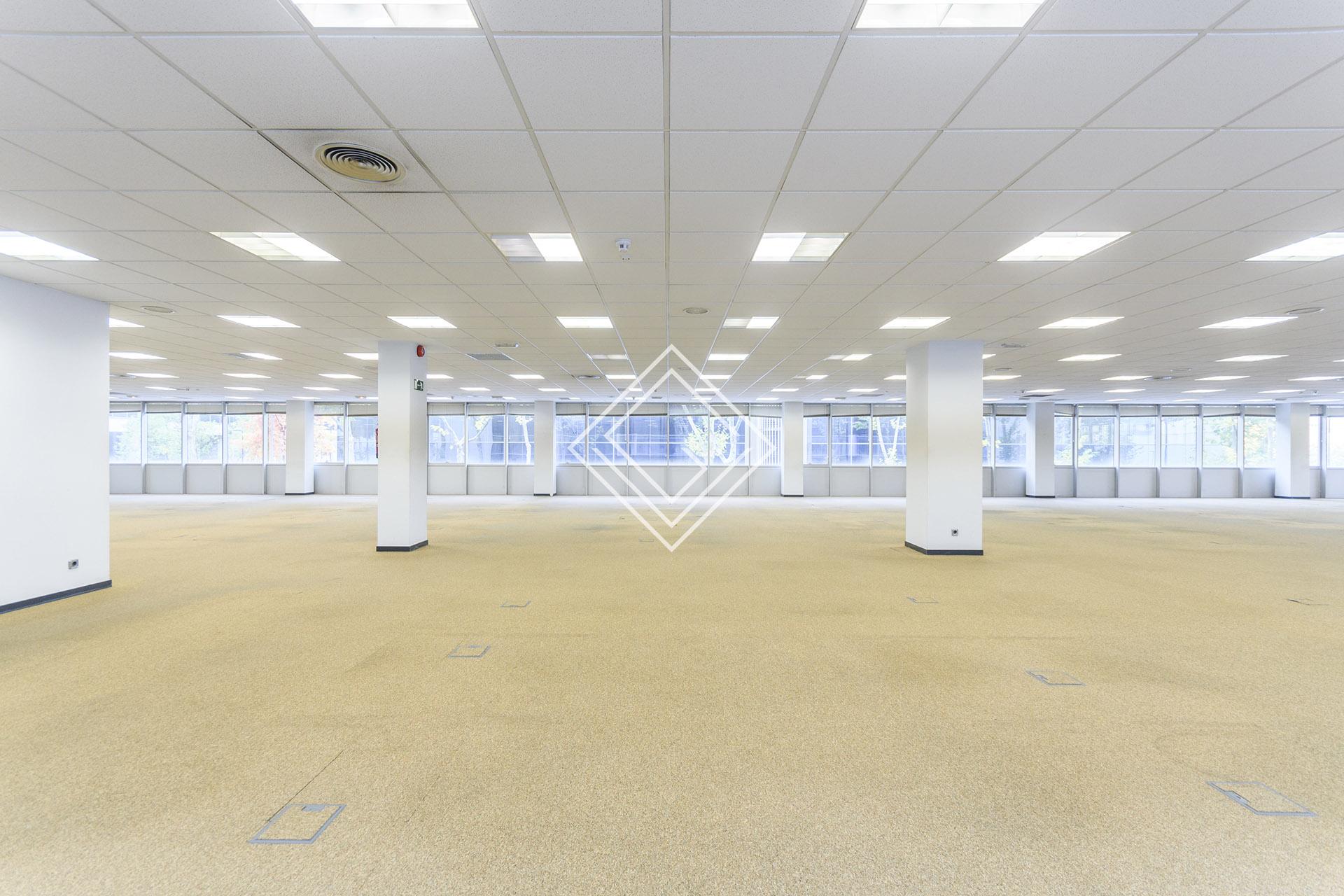 Imagen 22 de la propiedad