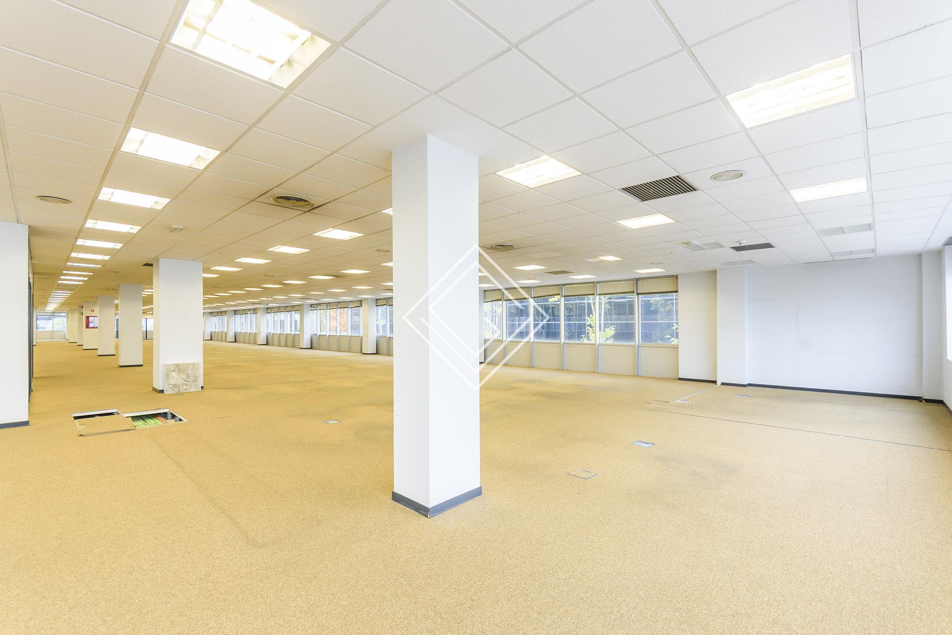 Imagen 26 de la propiedad