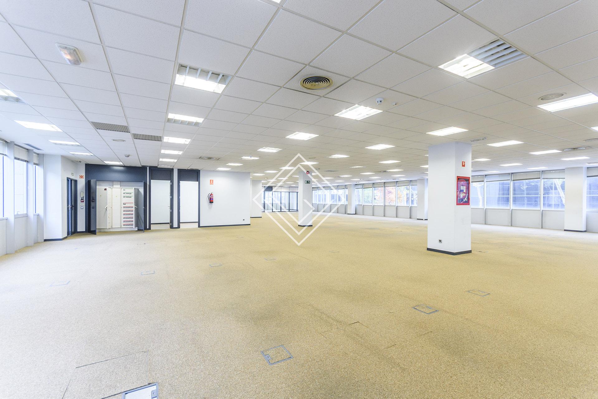 Imagen 24 de la propiedad