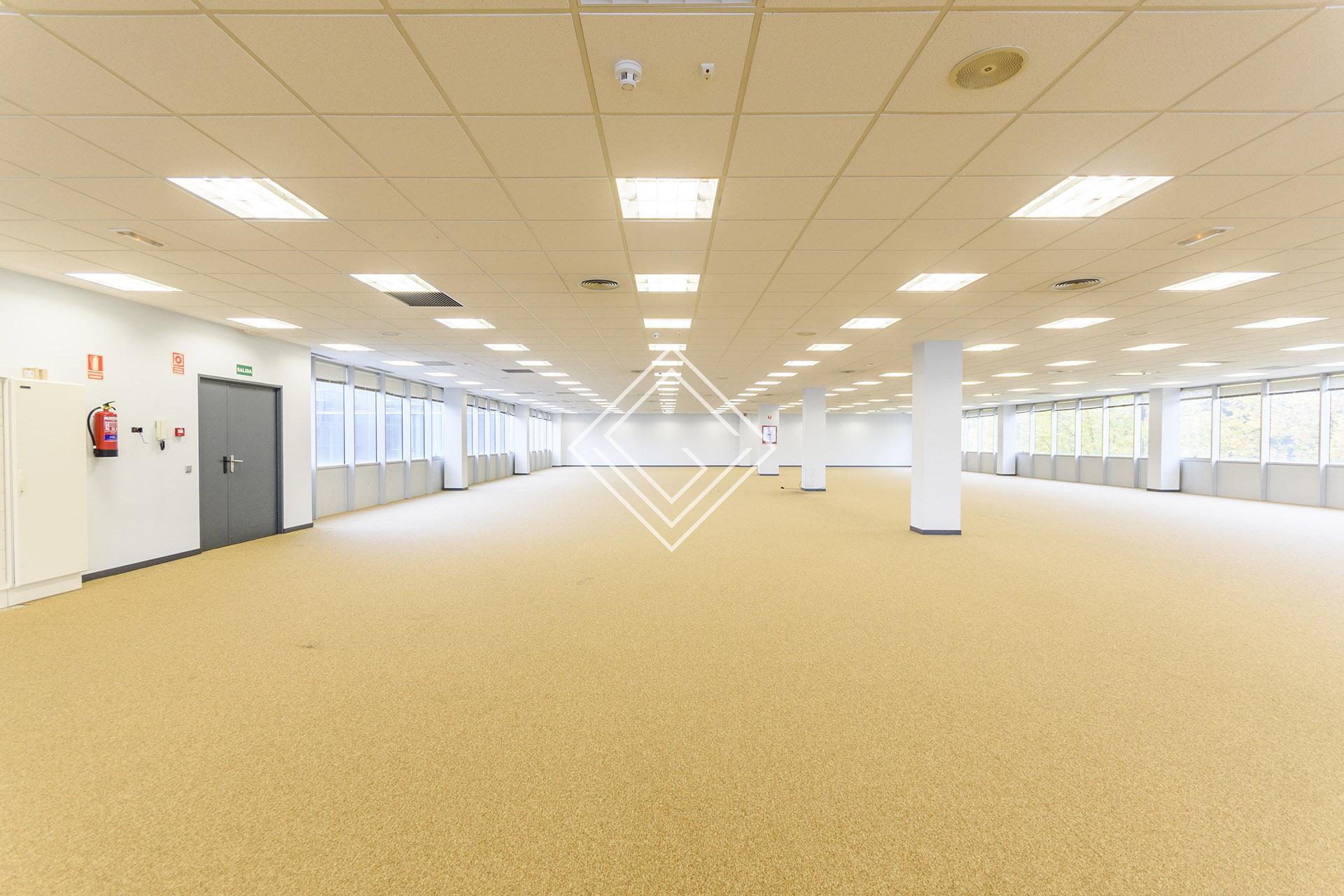 Imagen 33 de la propiedad