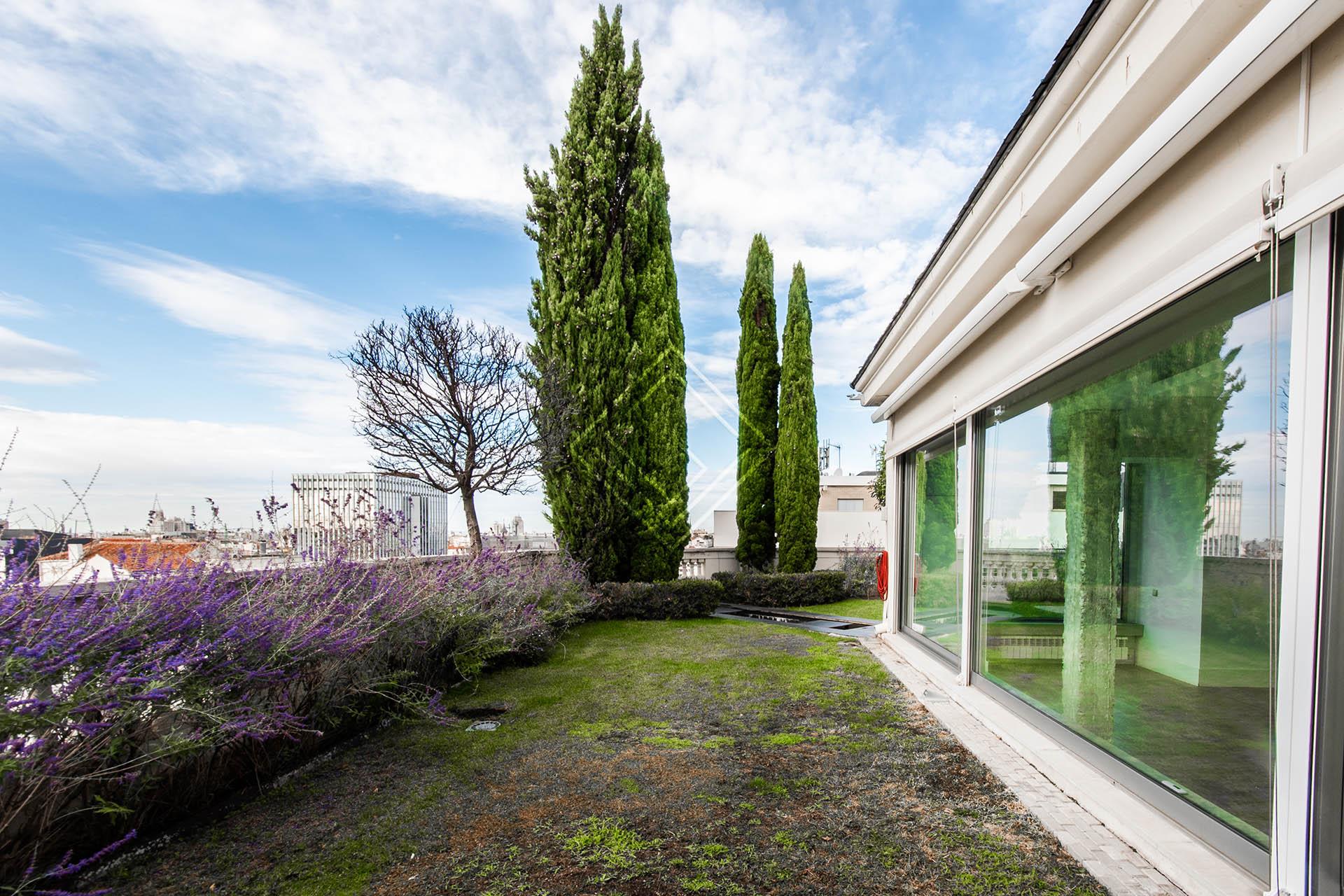 Imagen 47 de la propiedad